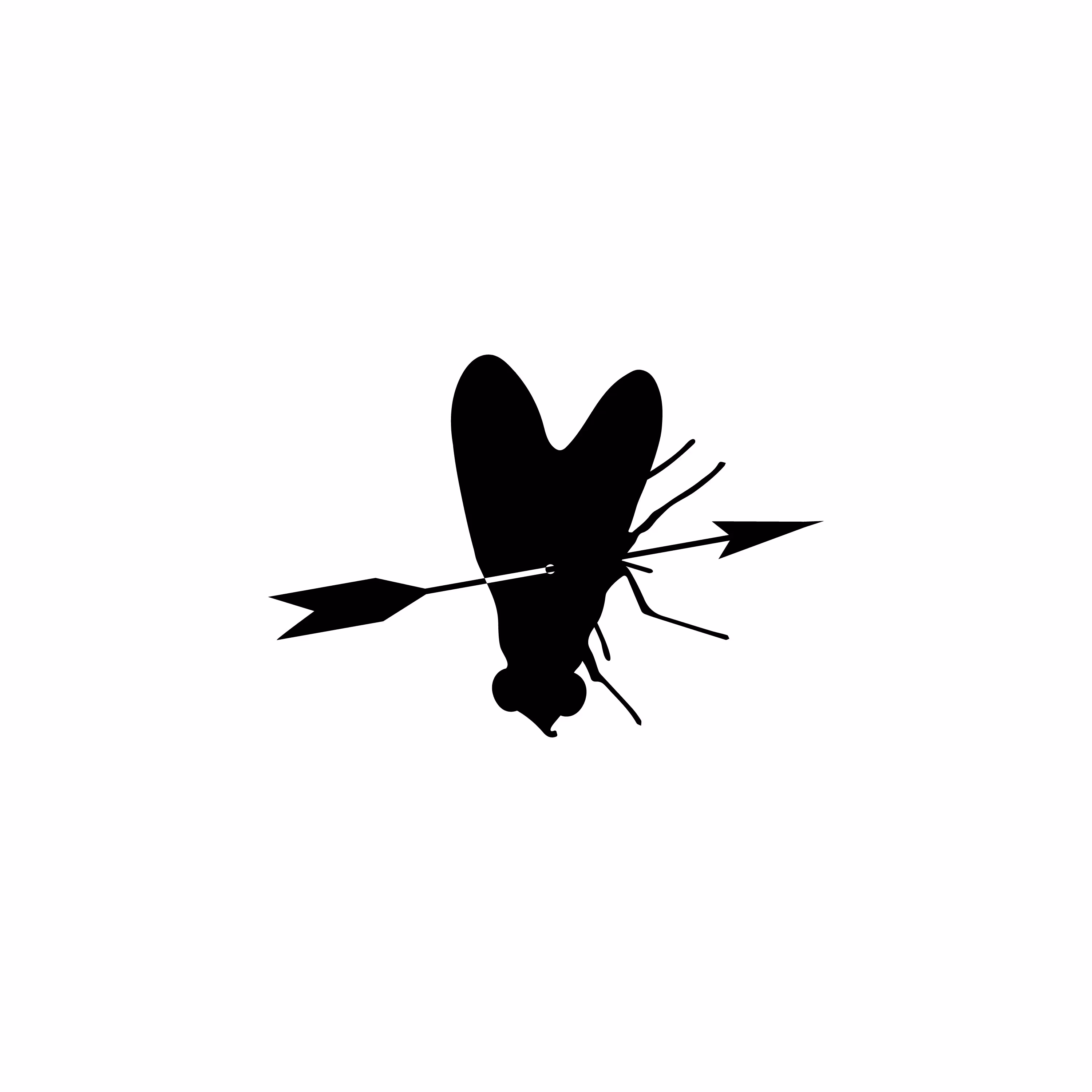 THE FLY IS LOVE