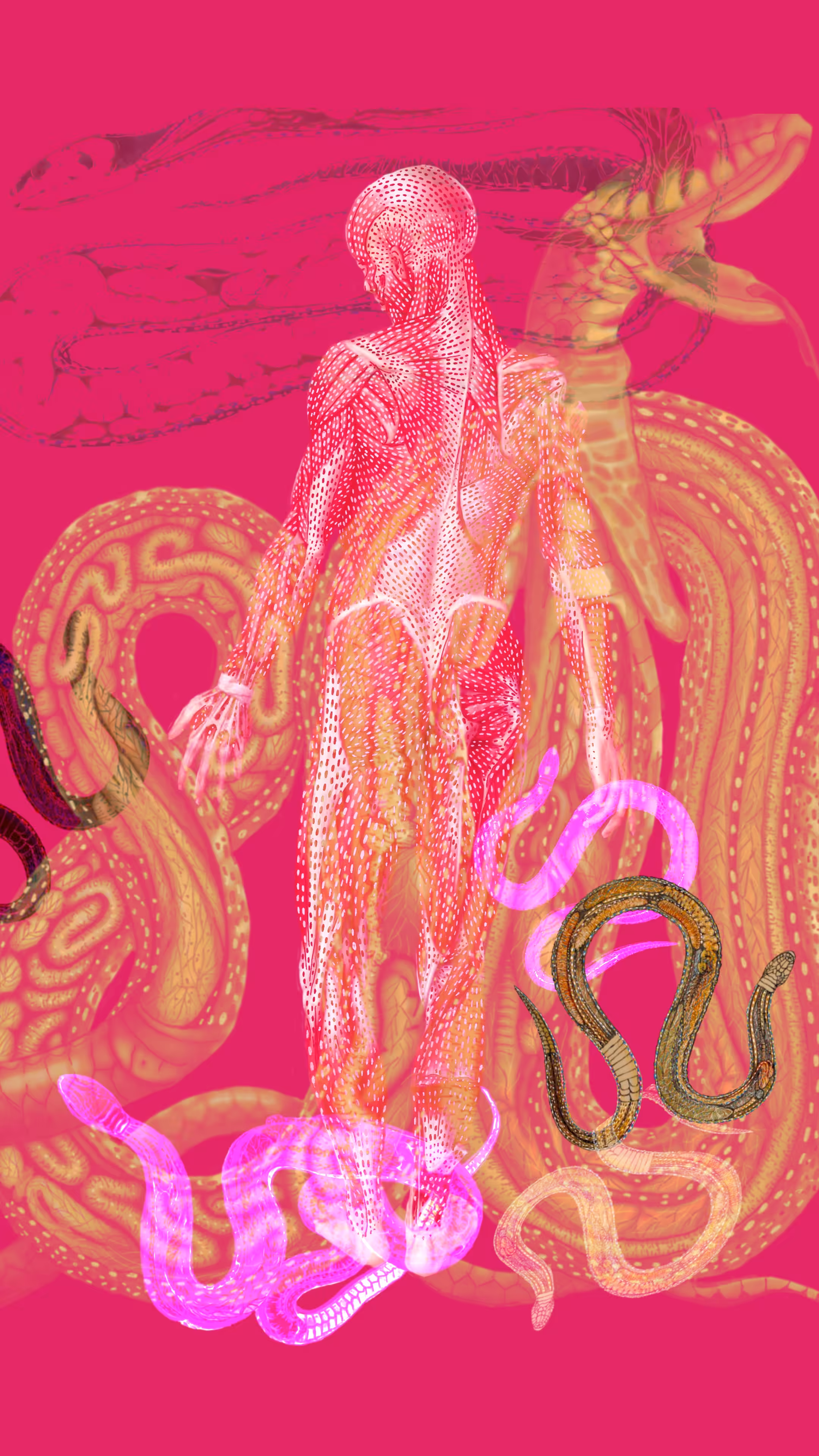 Humanimal Anatomy (snakes) #4