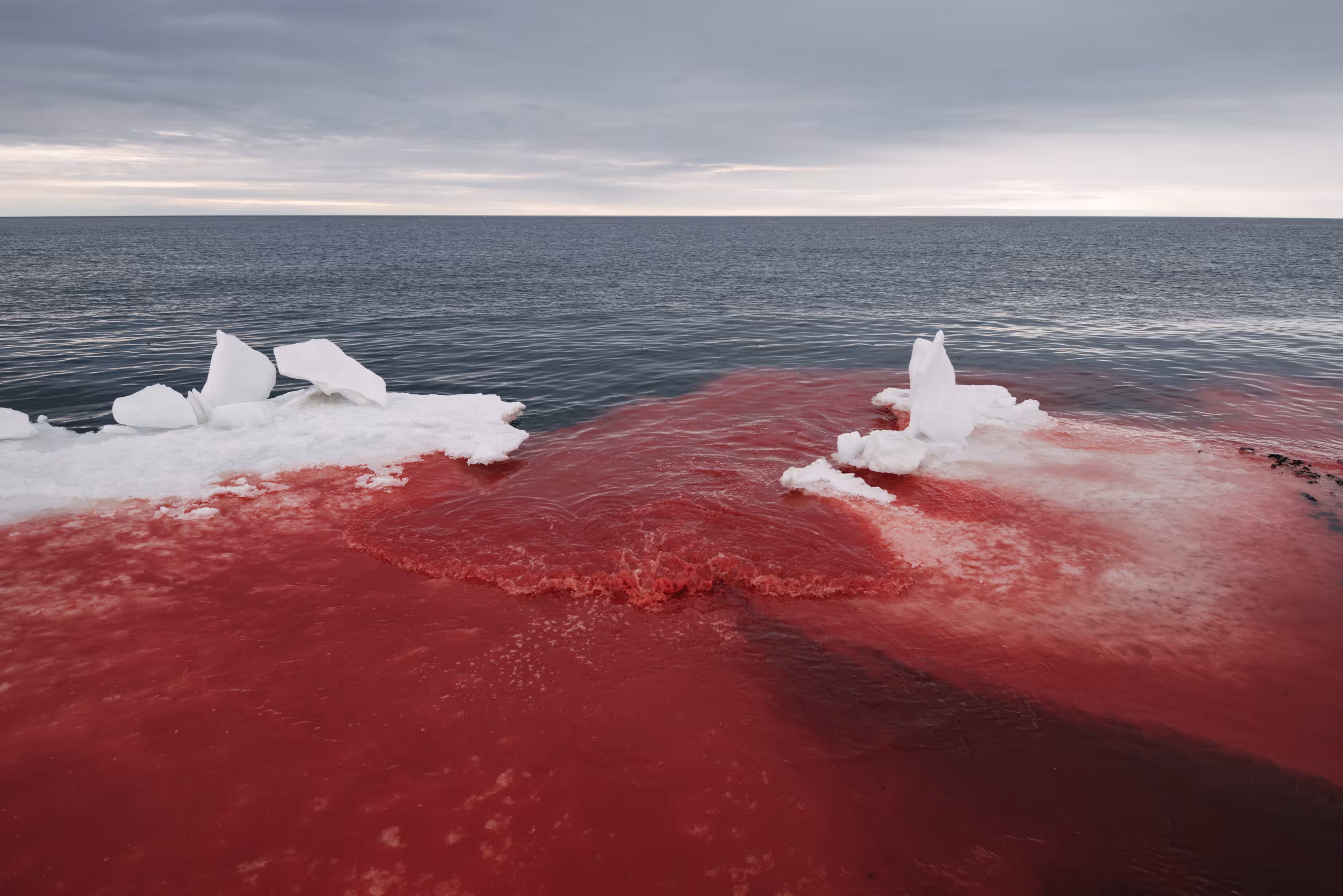 Rumors of Arctic Belonging - Confluence, Beaufort Sea