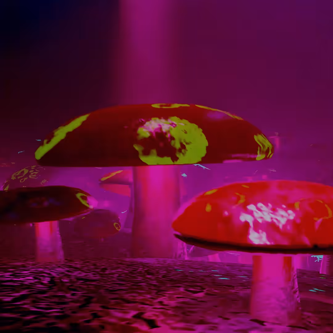 Life After Death
