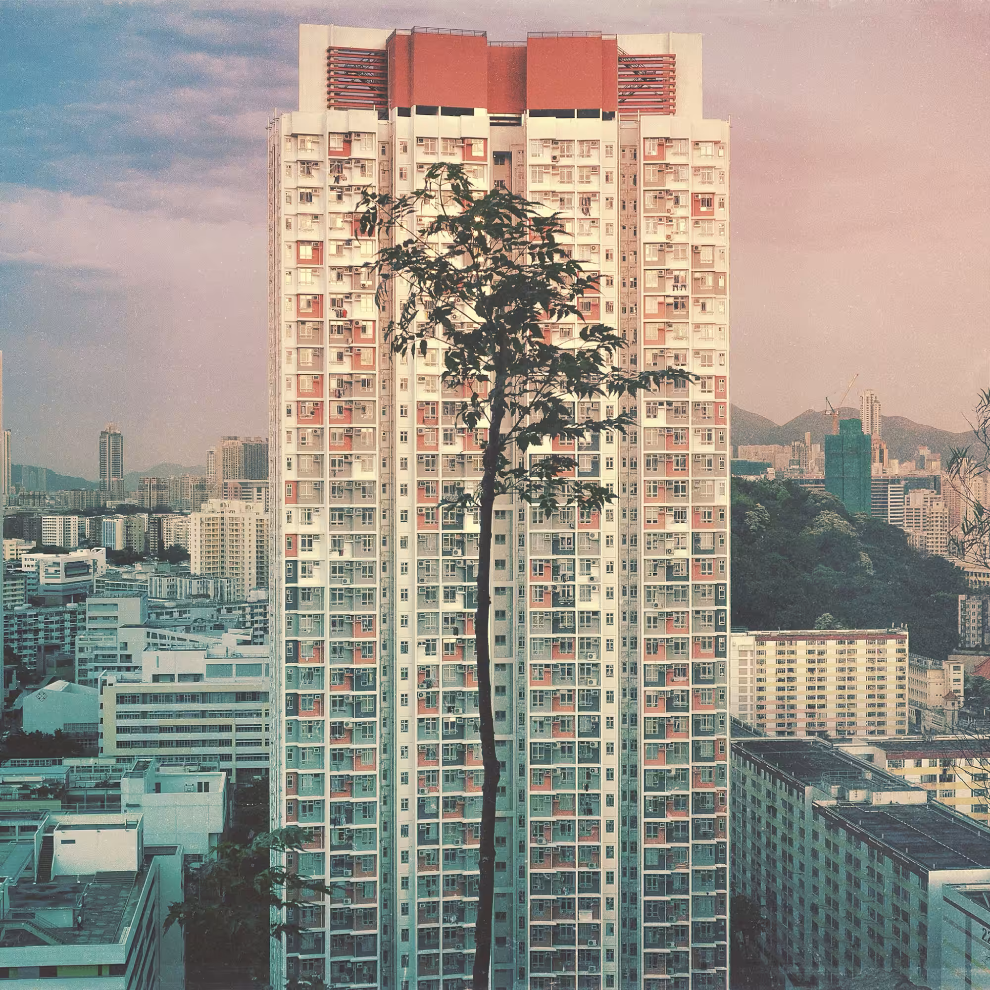 Tree House