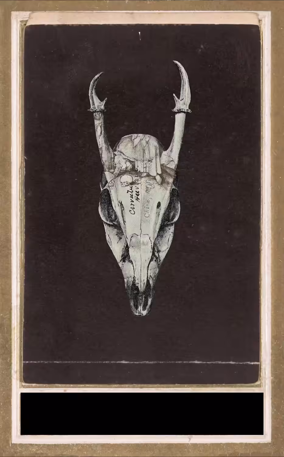 Bull Run - 006