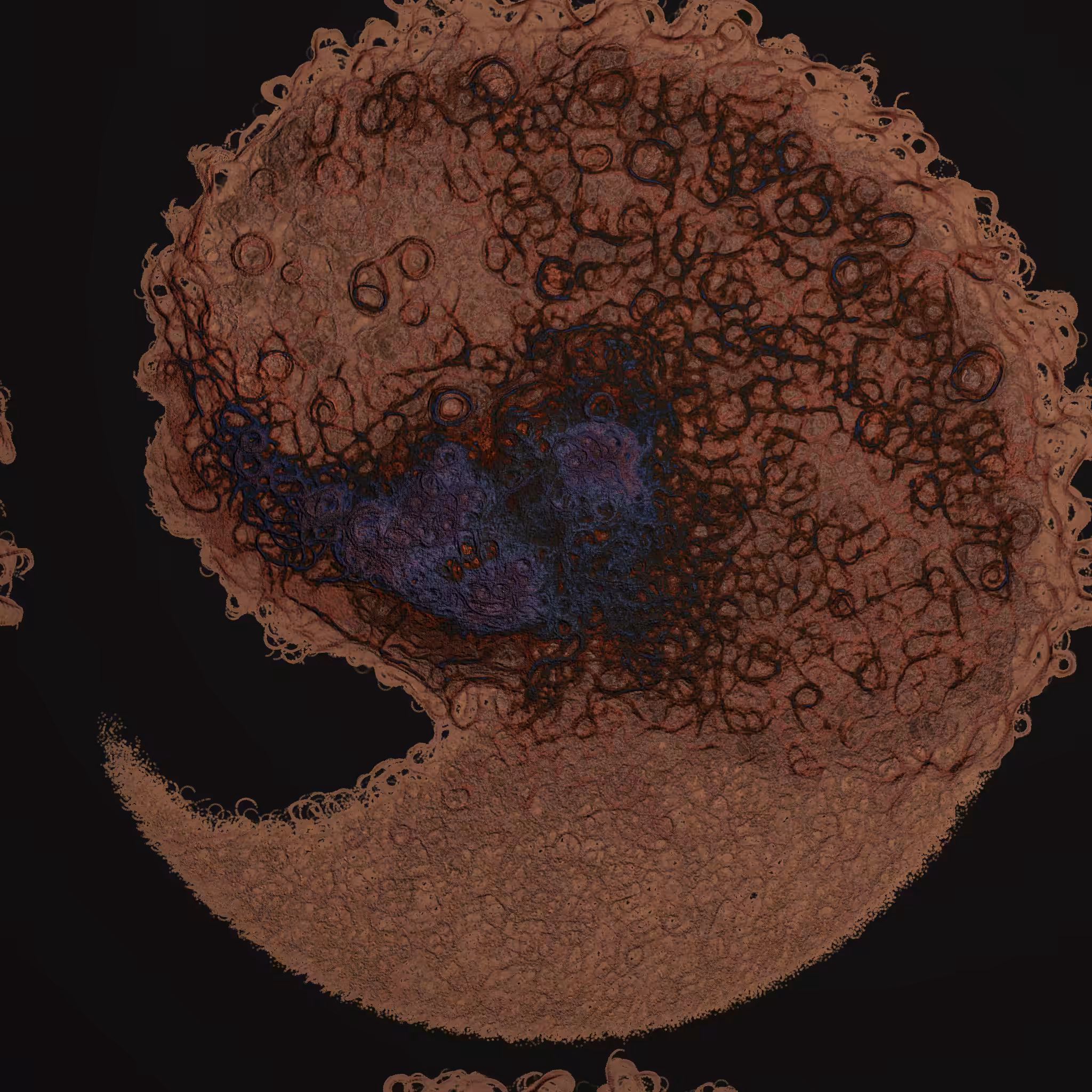 coalescence #28