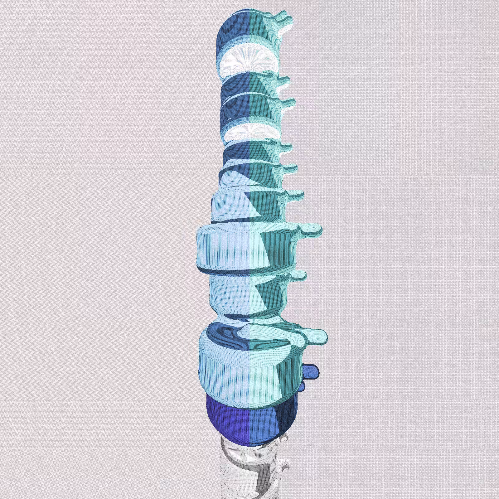 Long, Thin, Tubular Structure #227
