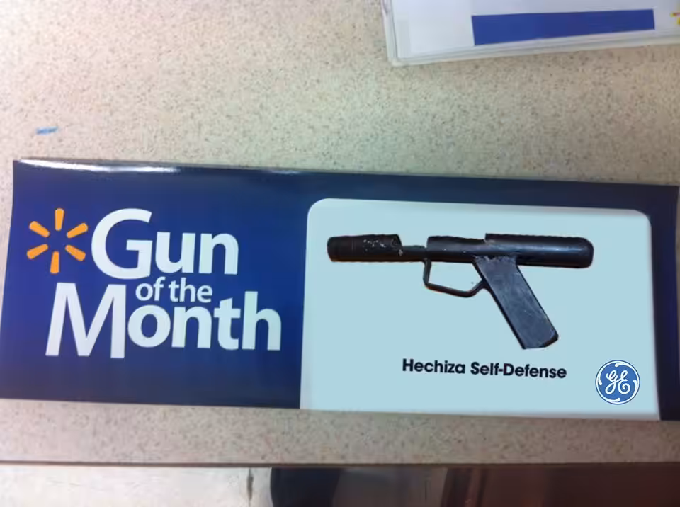 GUN OF MONTH