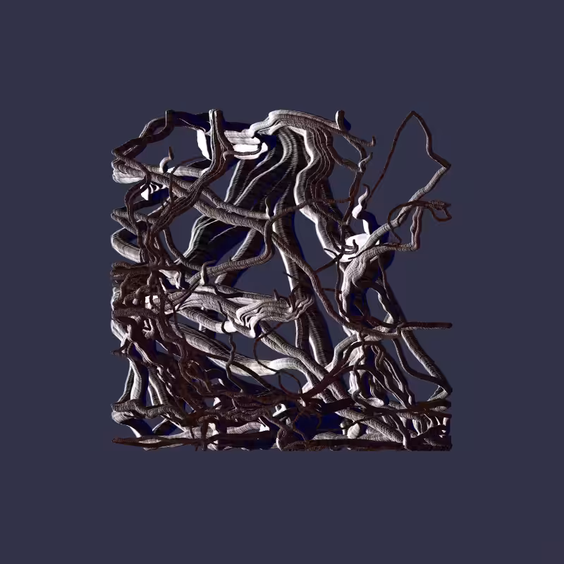 Root #3