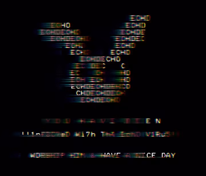ECHO VIRUS - BURN VARIENT