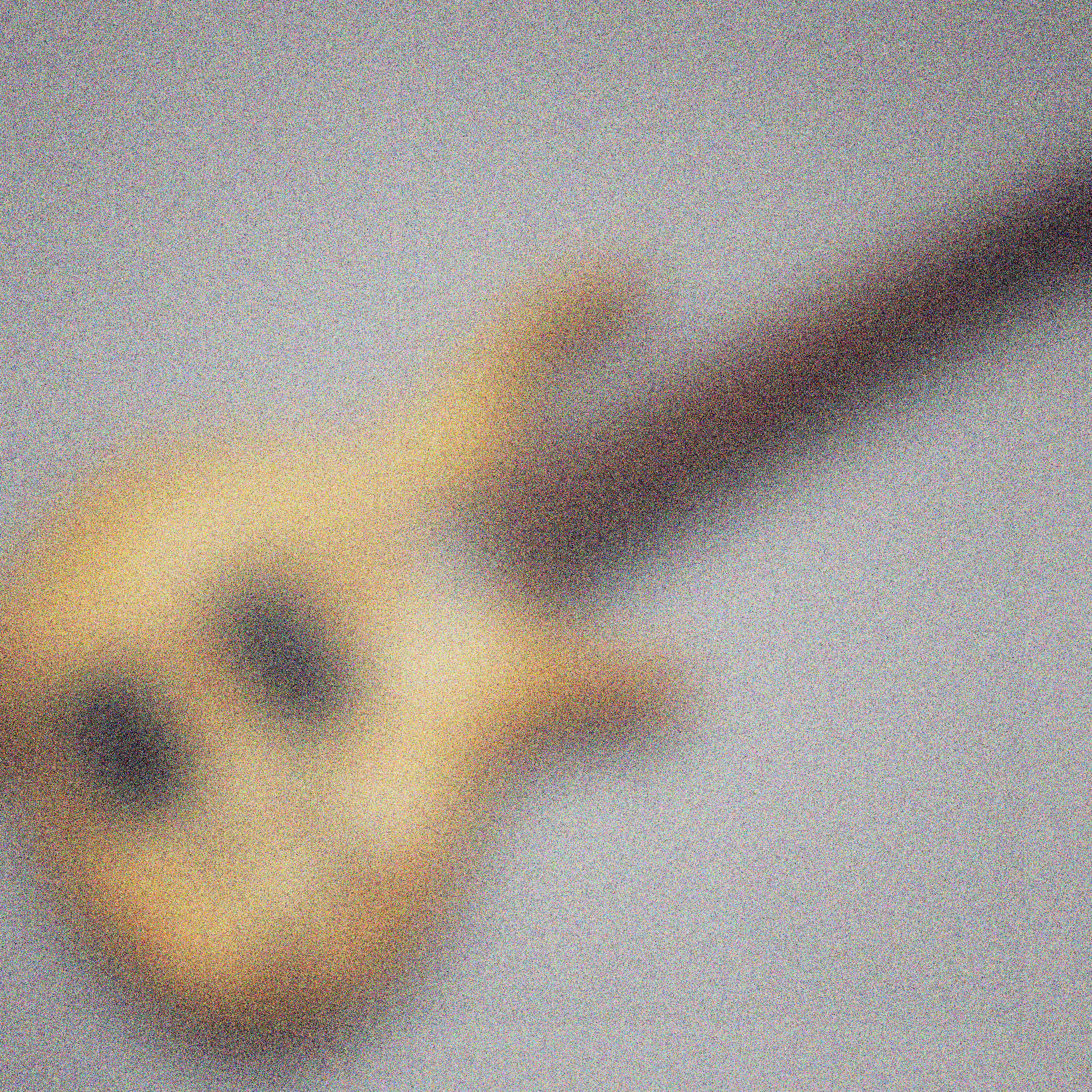 BASS