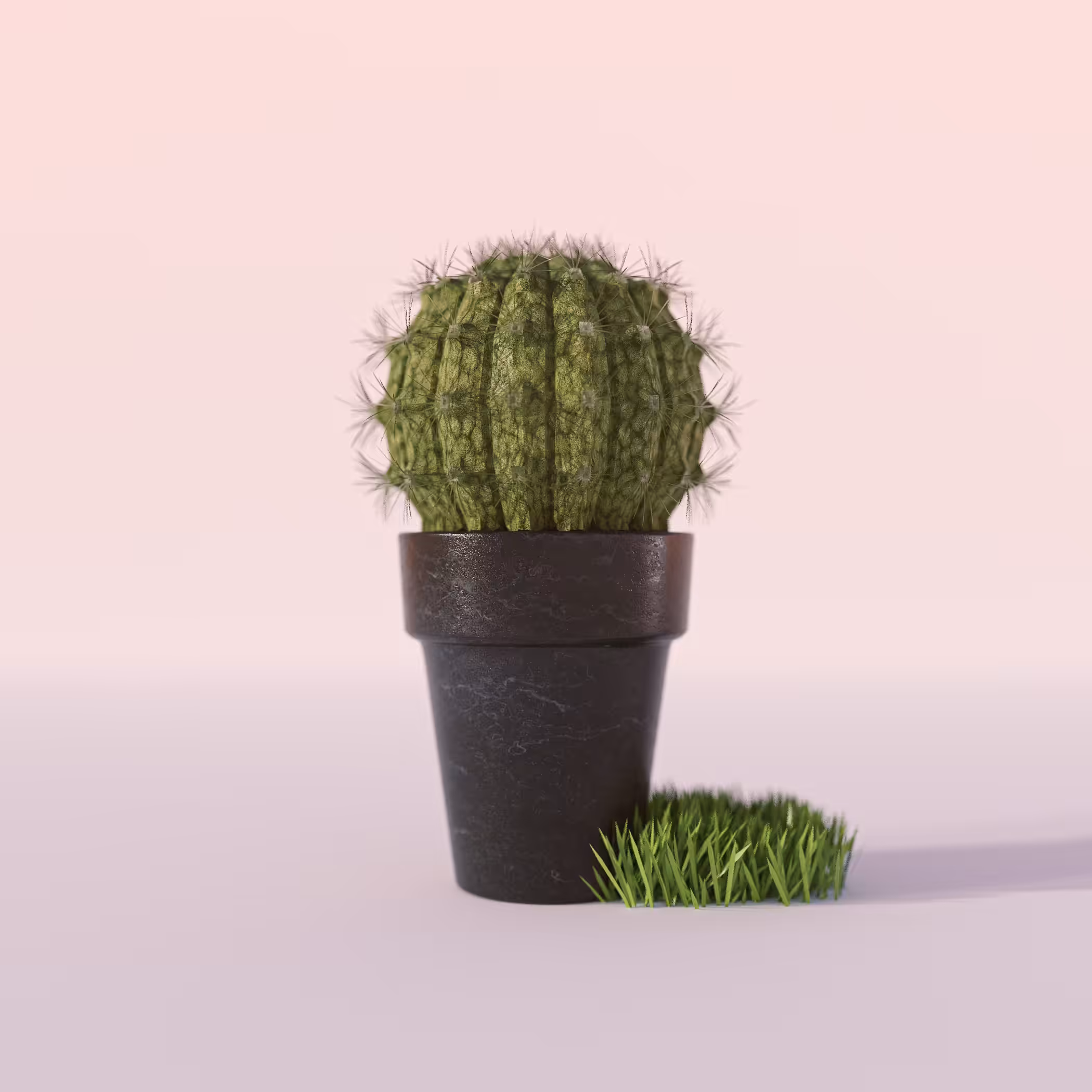 Moss Cactus