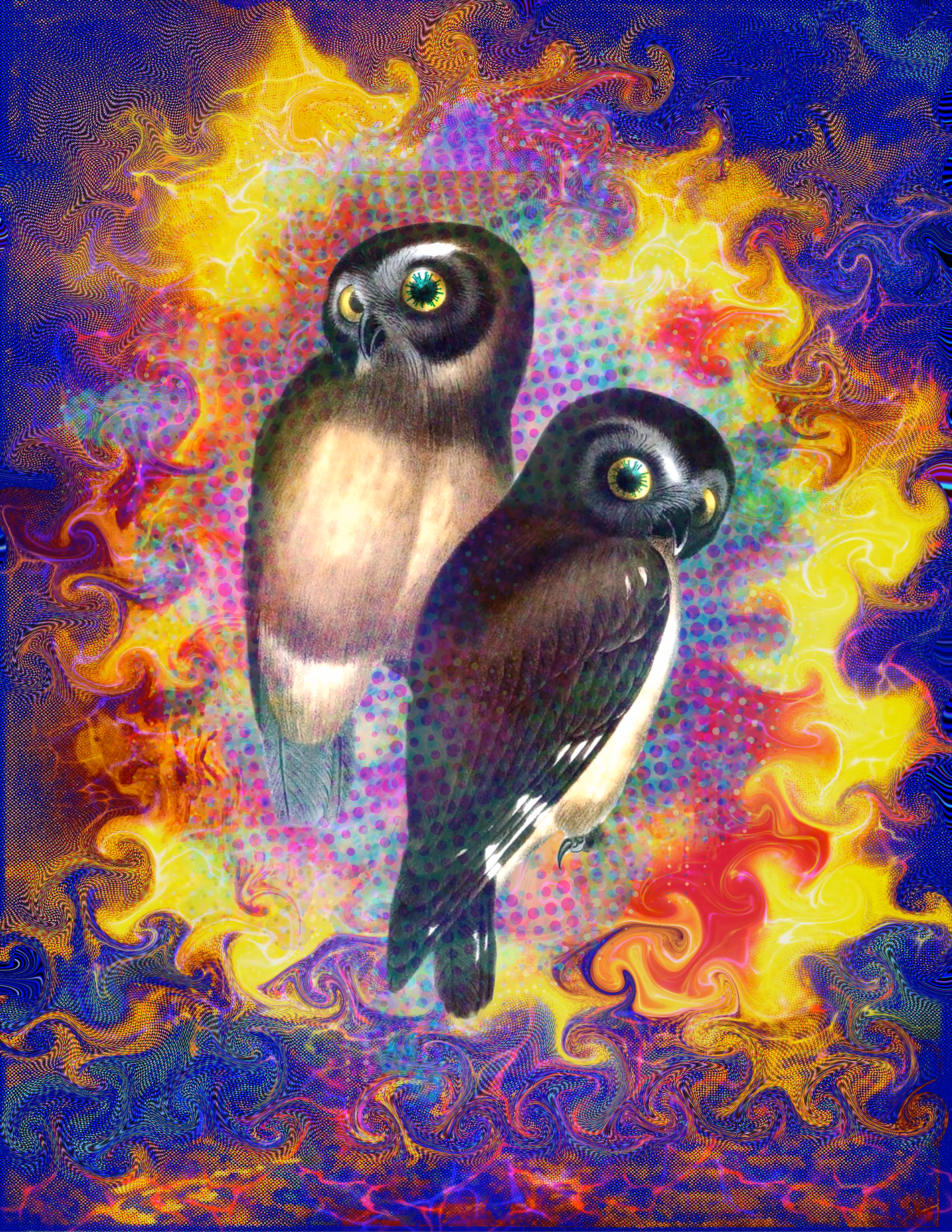 Bird is the Word #7