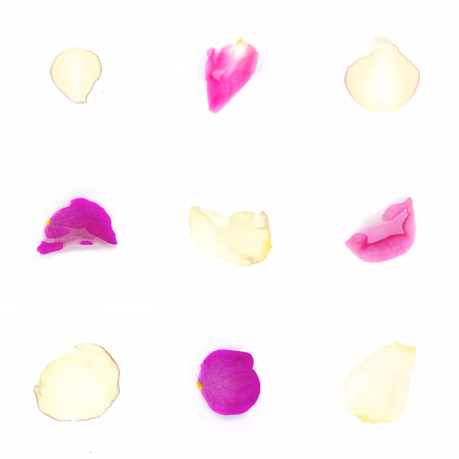 Infinite Petals 3x3#471