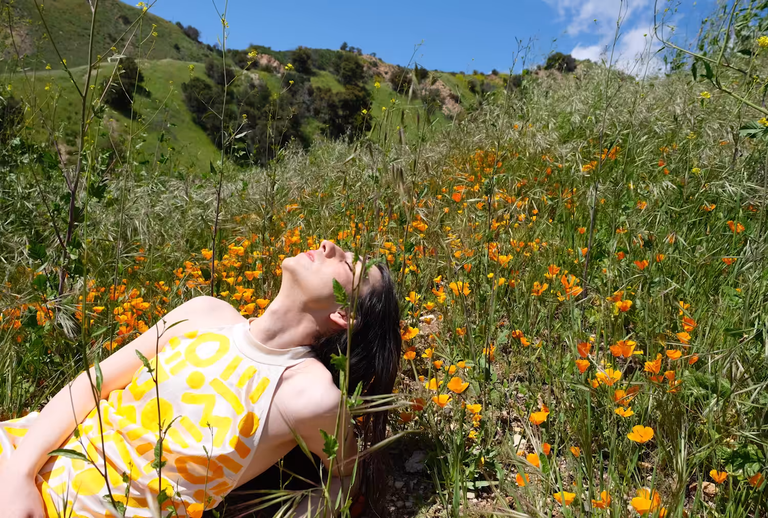 Allure of the Poppy #19