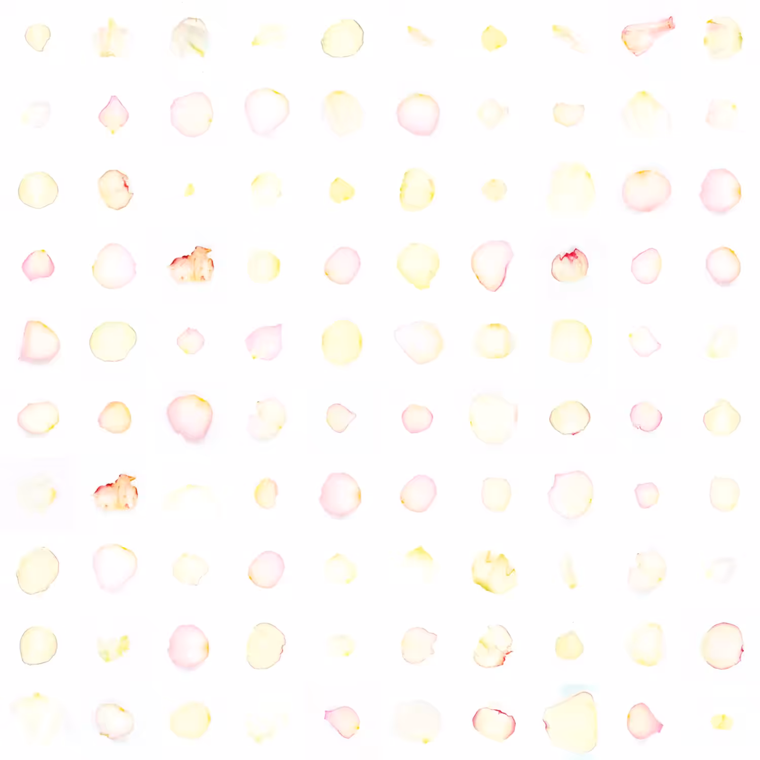 Infinite Petals 10x10#1779