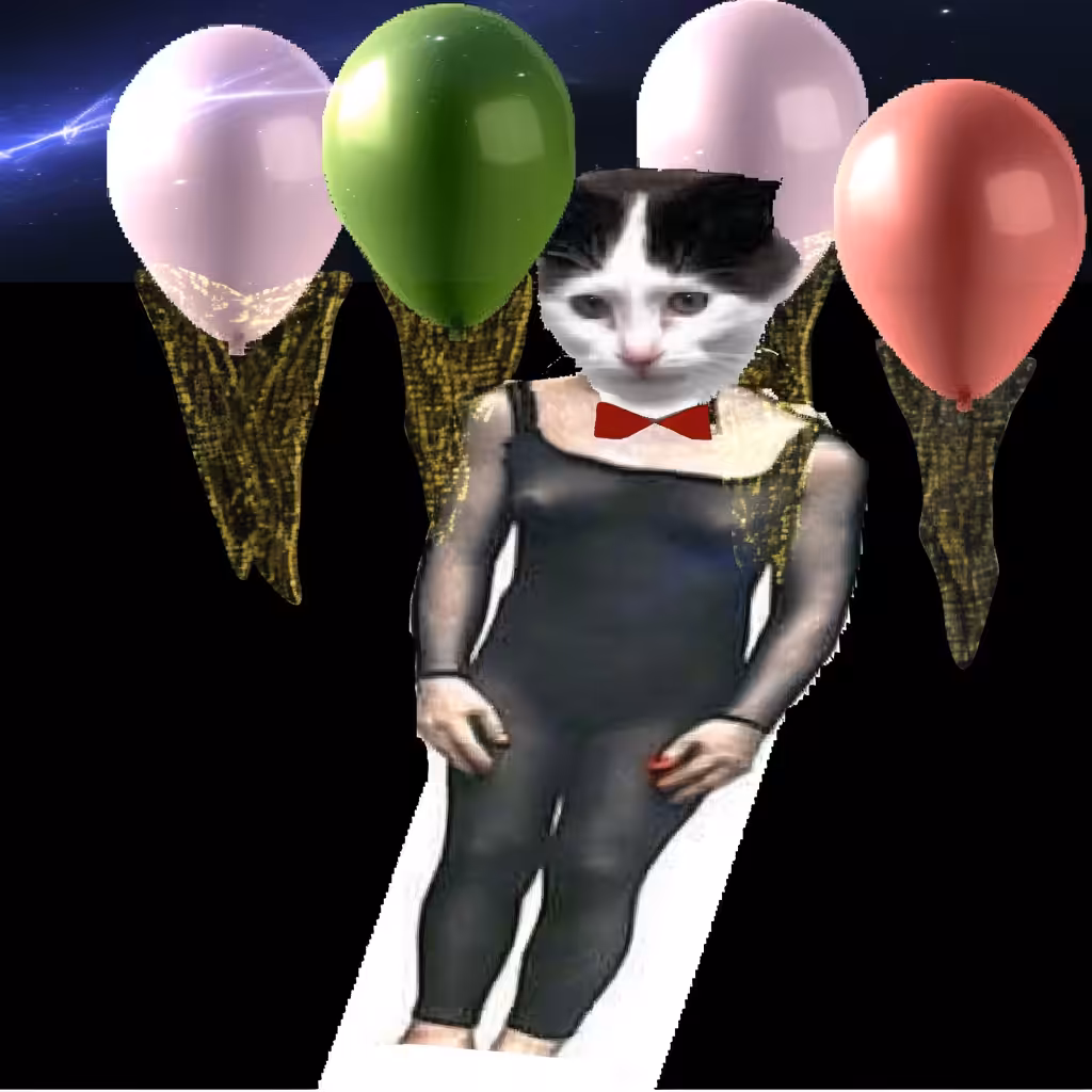 www
