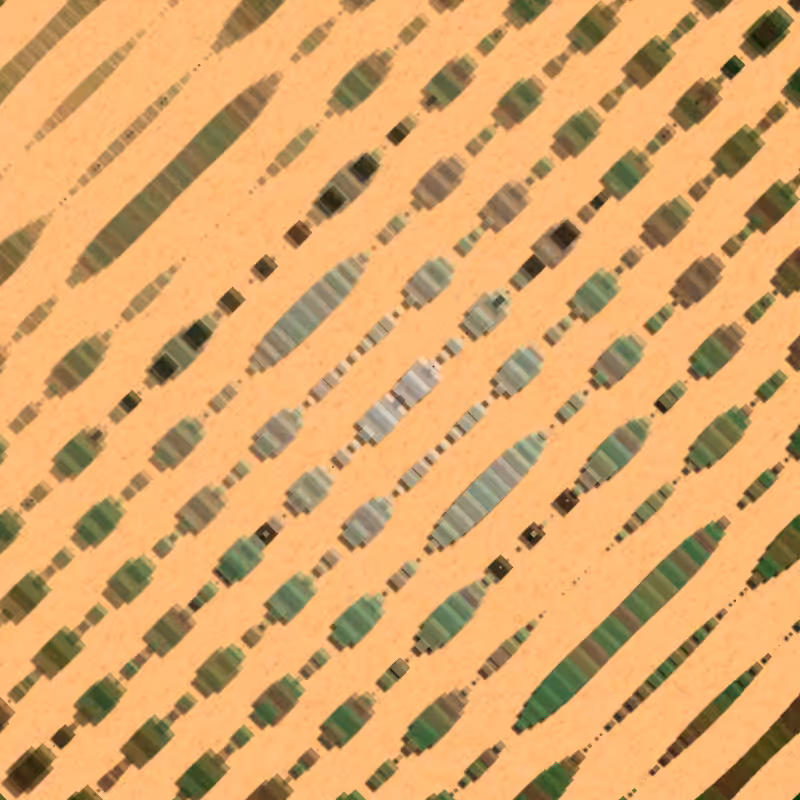 String Theory #16