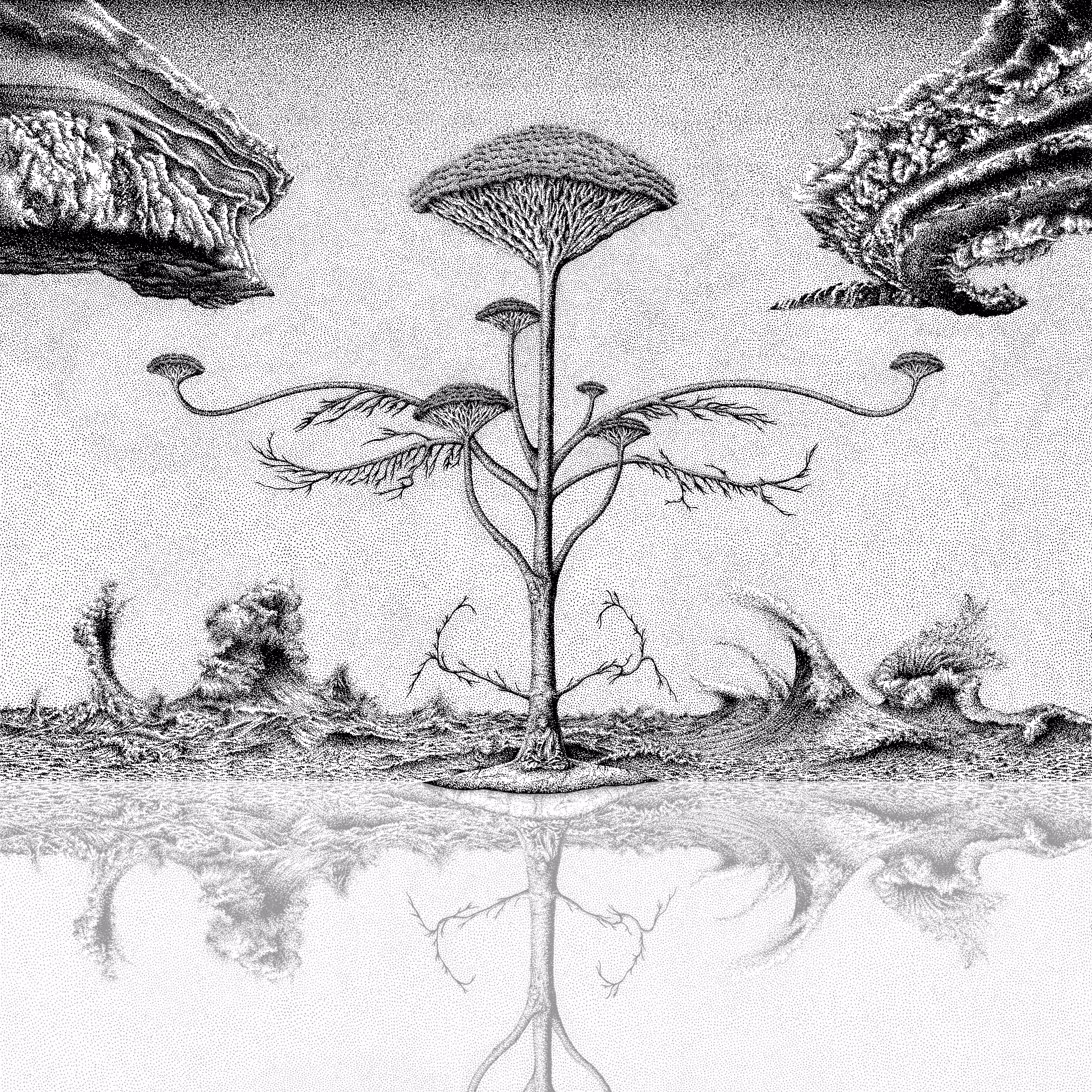 Patience in the metamorphosis