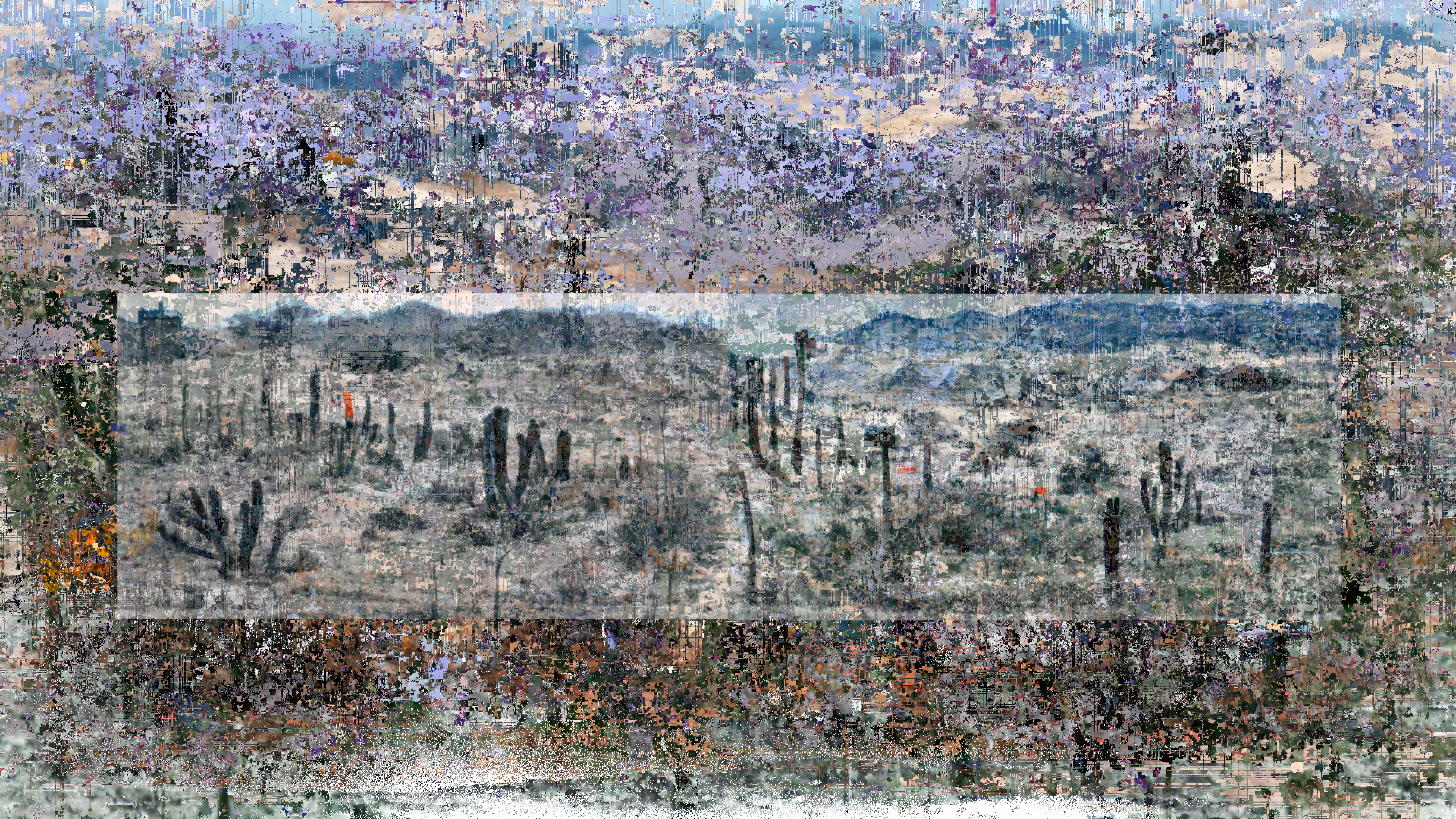 cross-border landscape