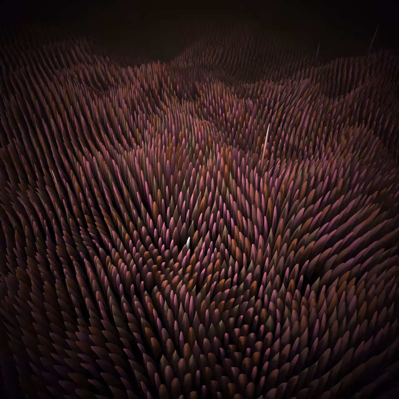 04. flora #46