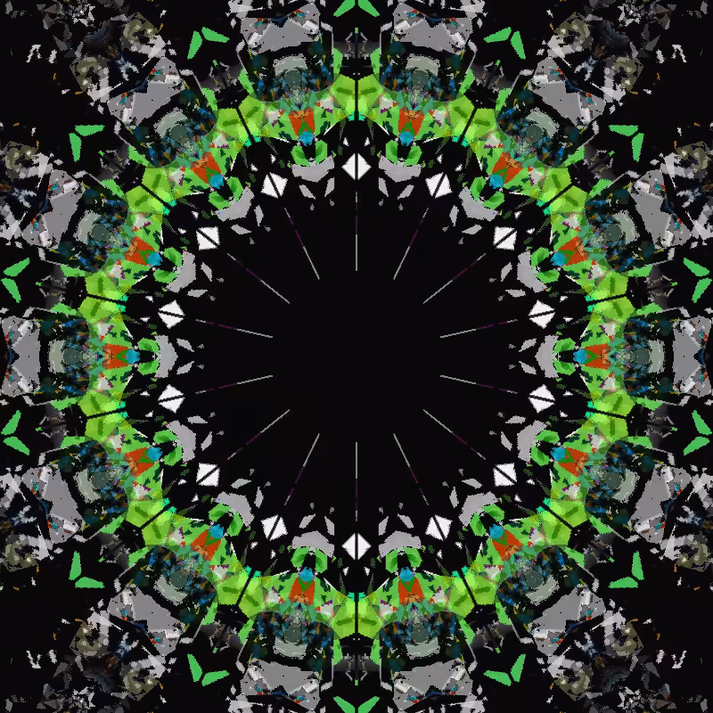 Blotter Motion #7