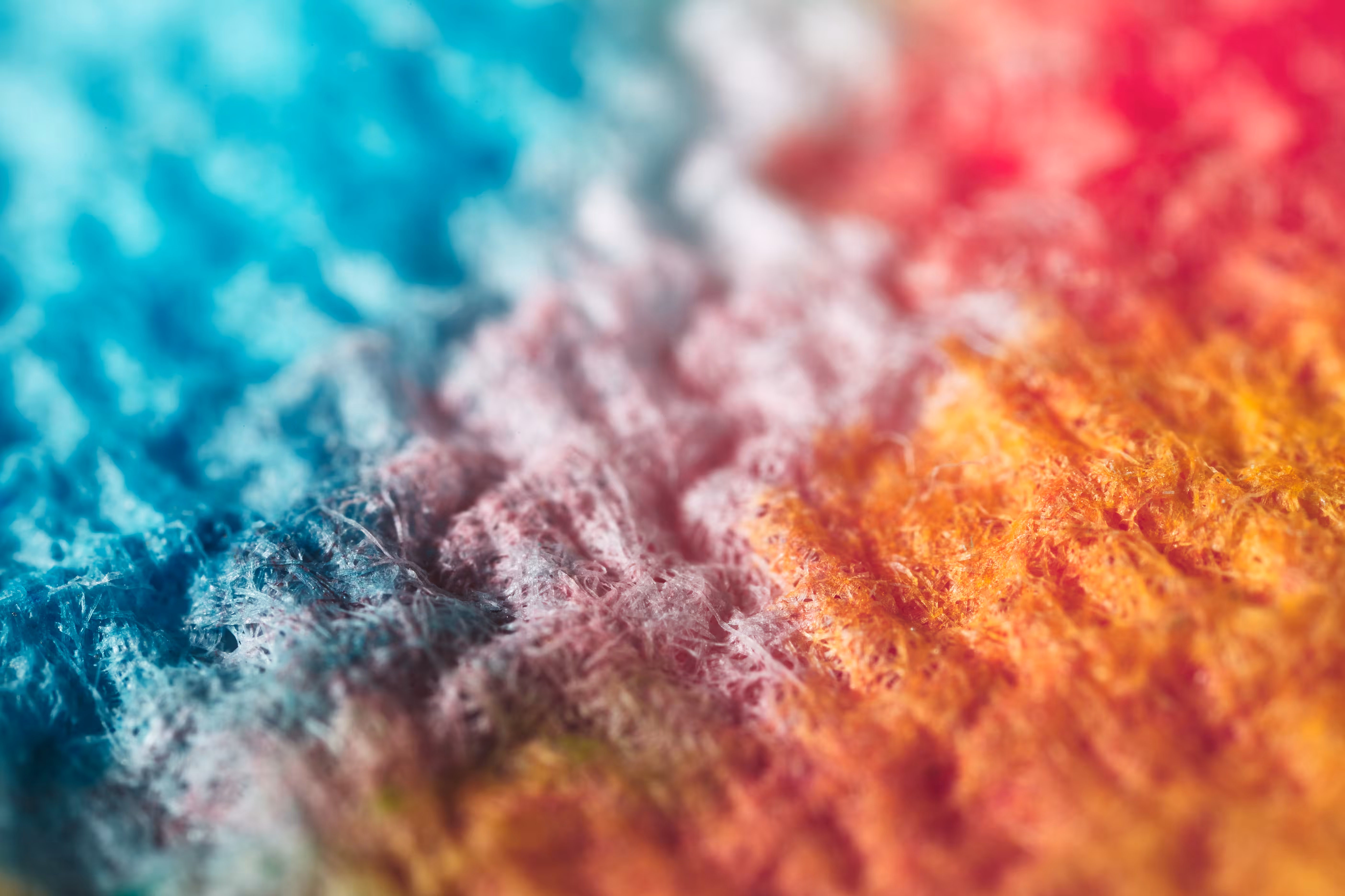 PaperTowel_02