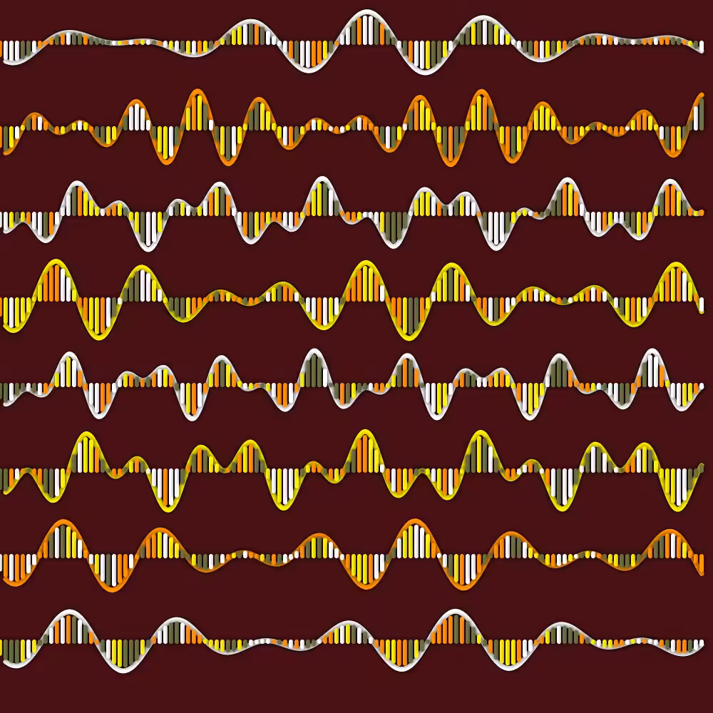 FourierSeries#06