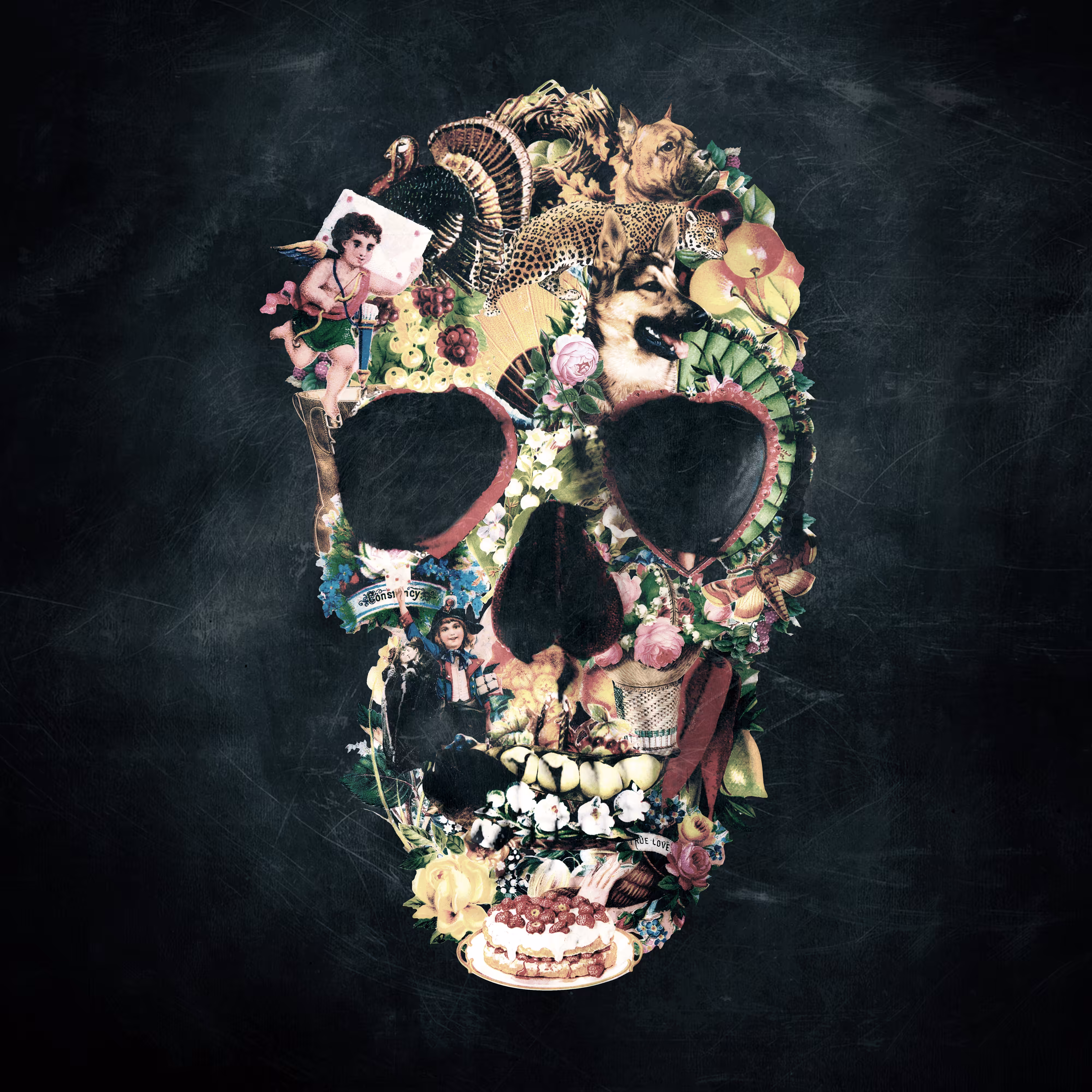 Vintage Skull