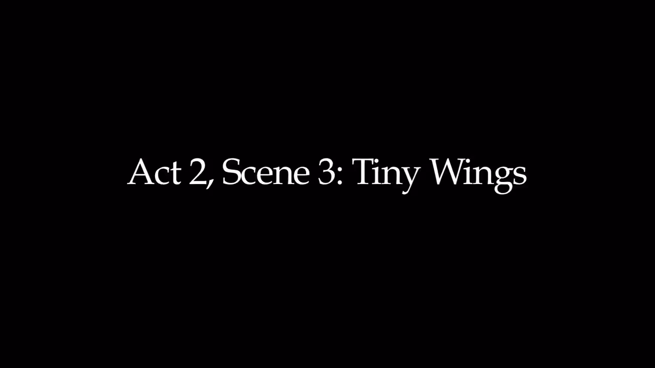 Tiny Wings | Song A Day #369