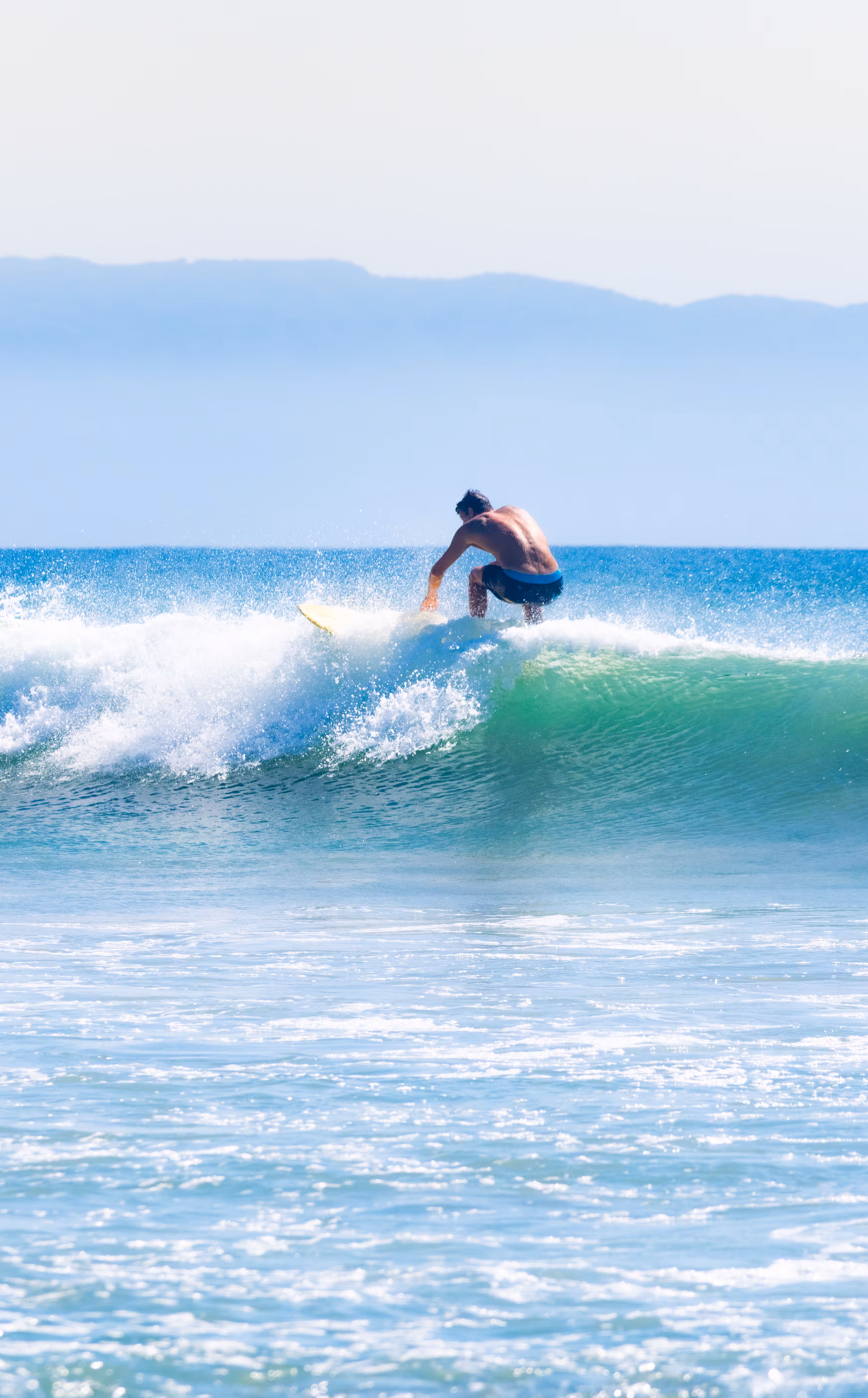 Ride The Wave