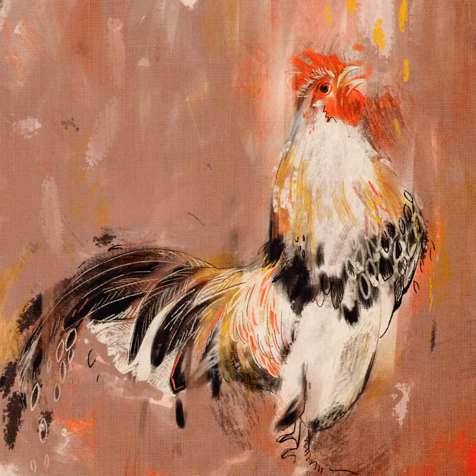 My white rooster