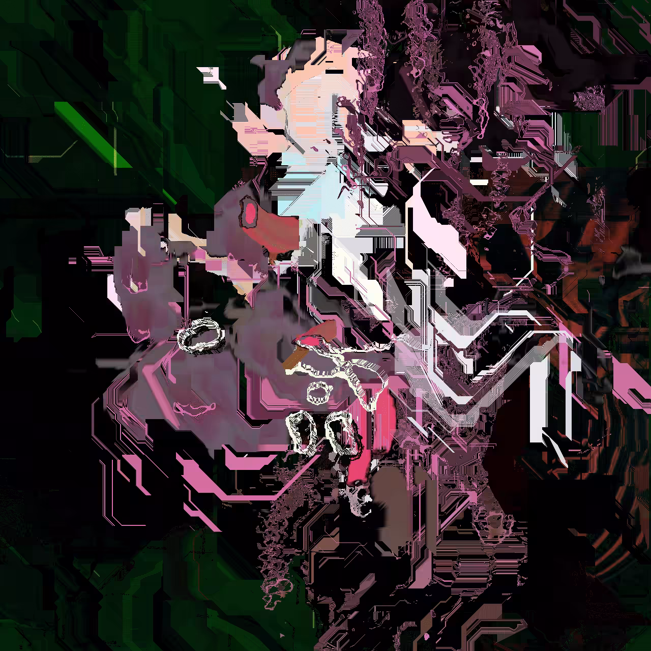 Hibiscus-2