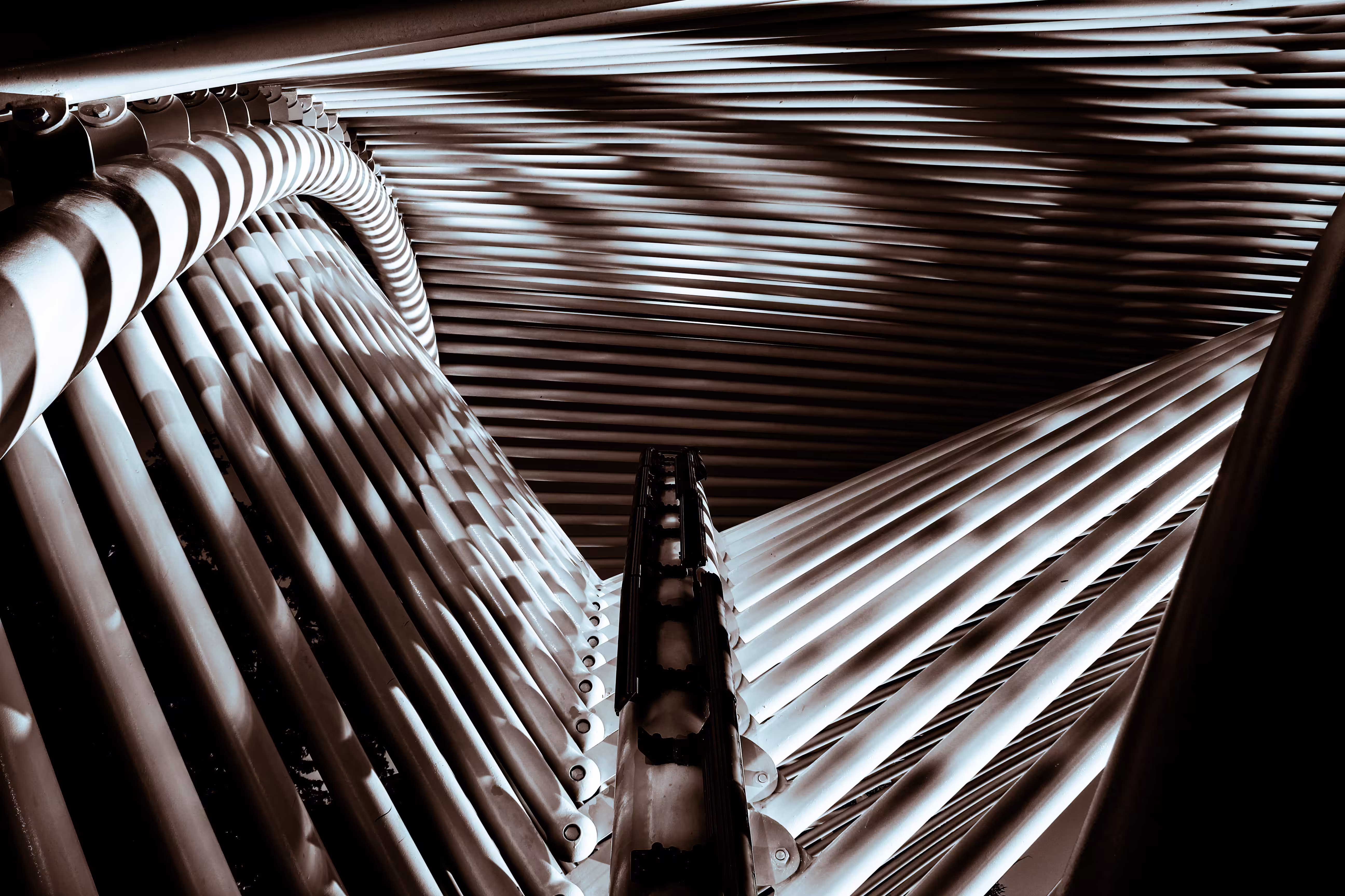 Abstract in BNW