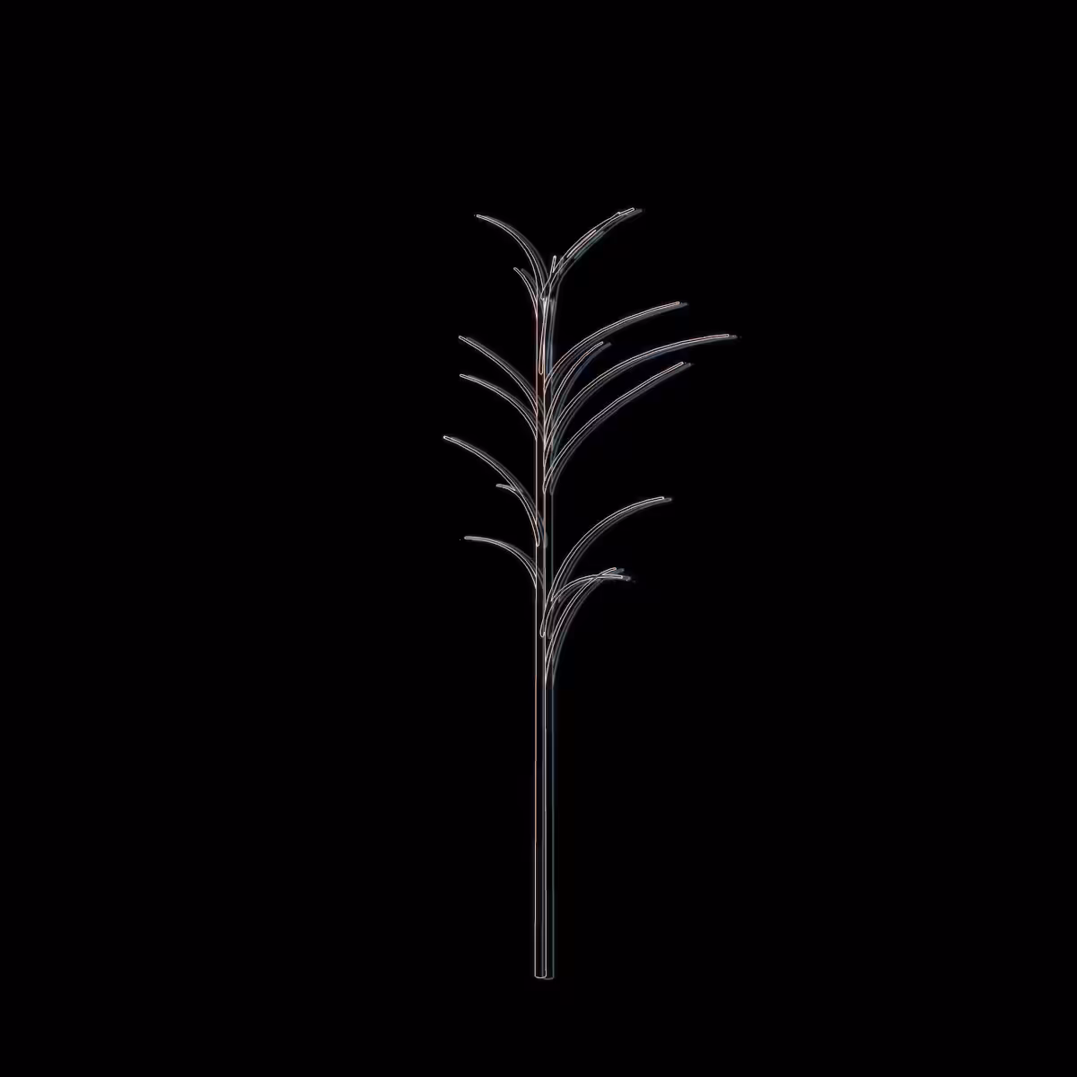 Decentralized Silver Thatch Palm