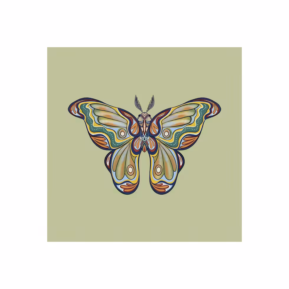 The Moth Experiment  #18