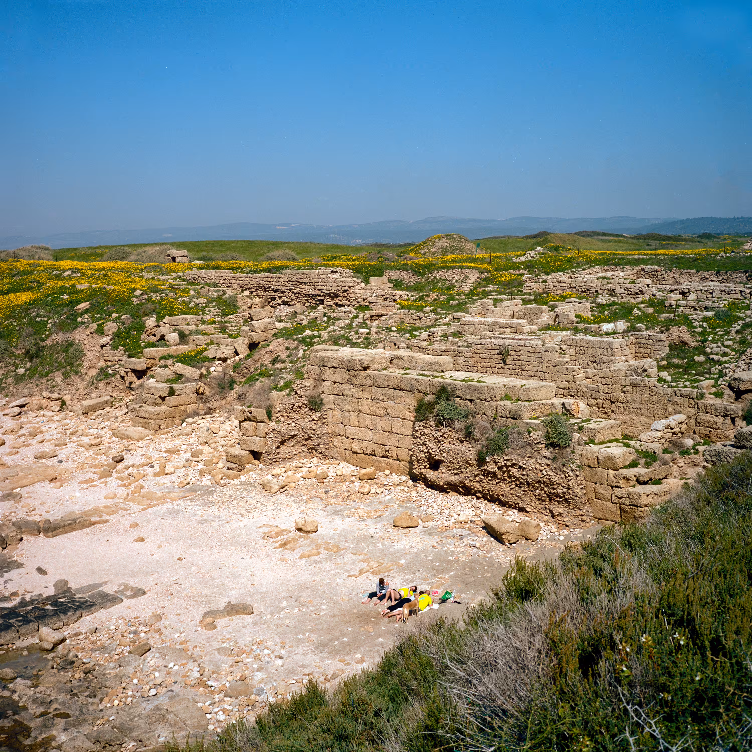 Archeological Sunbathing, 2014