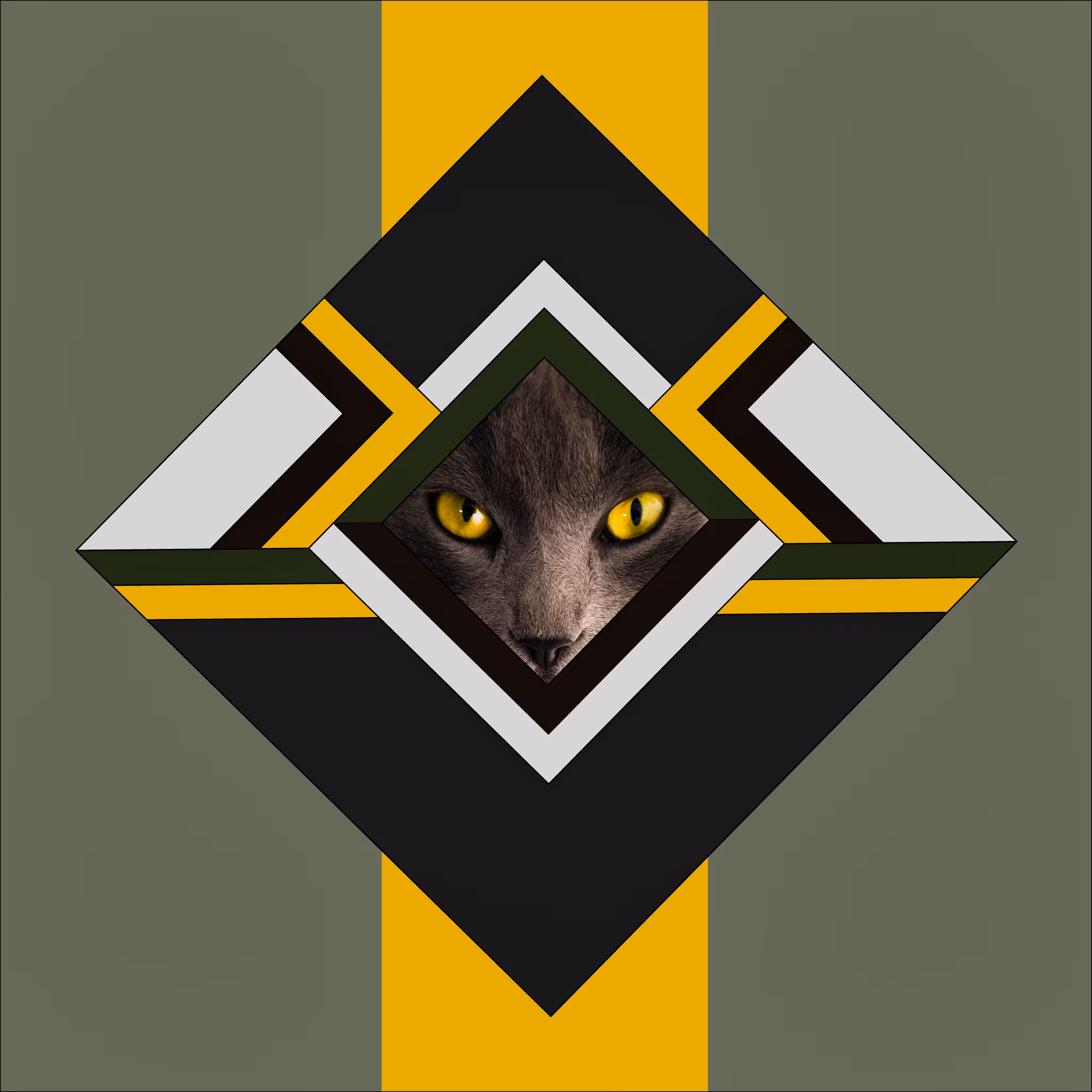 Cat in the Diamond