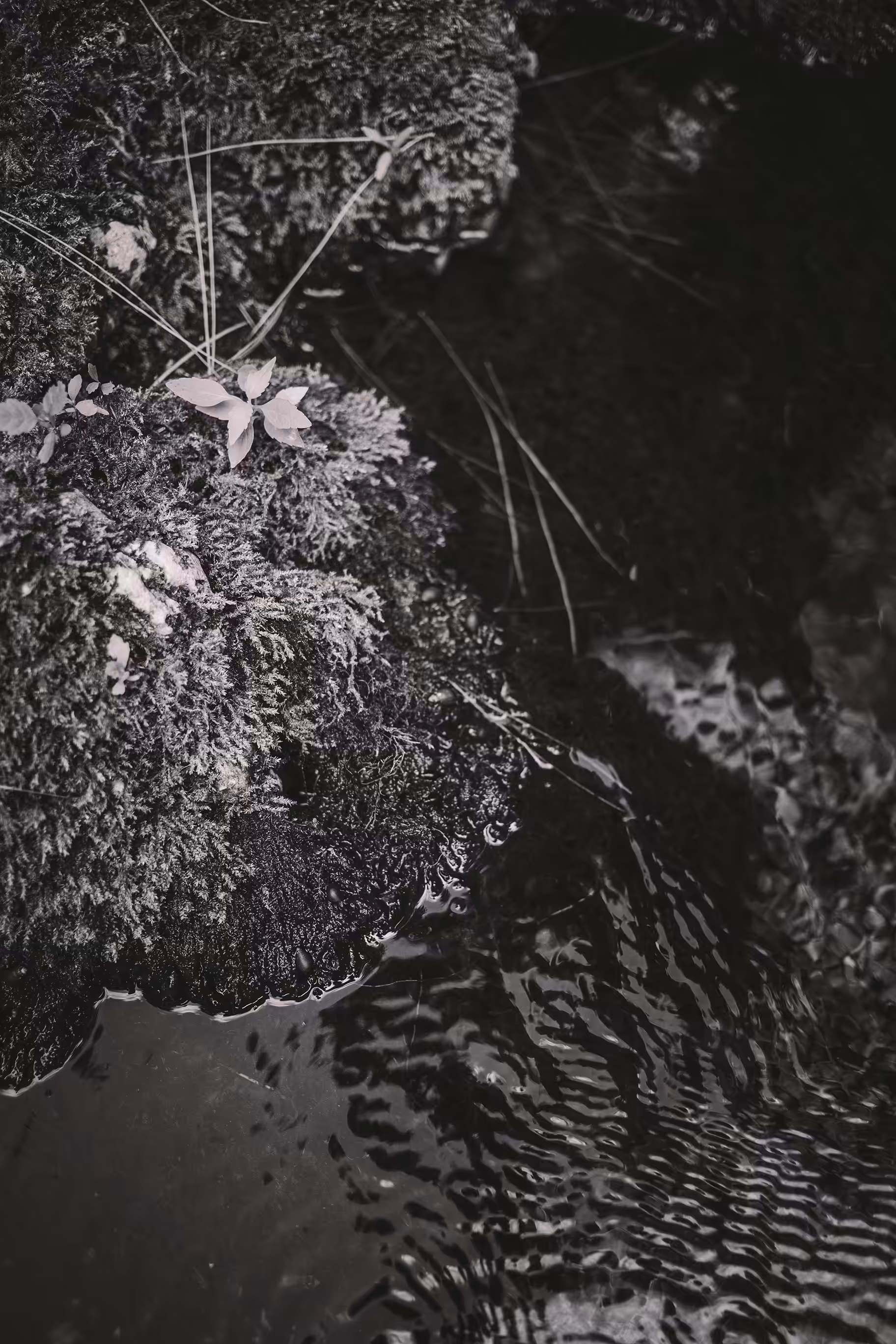 Tides' End - XVII