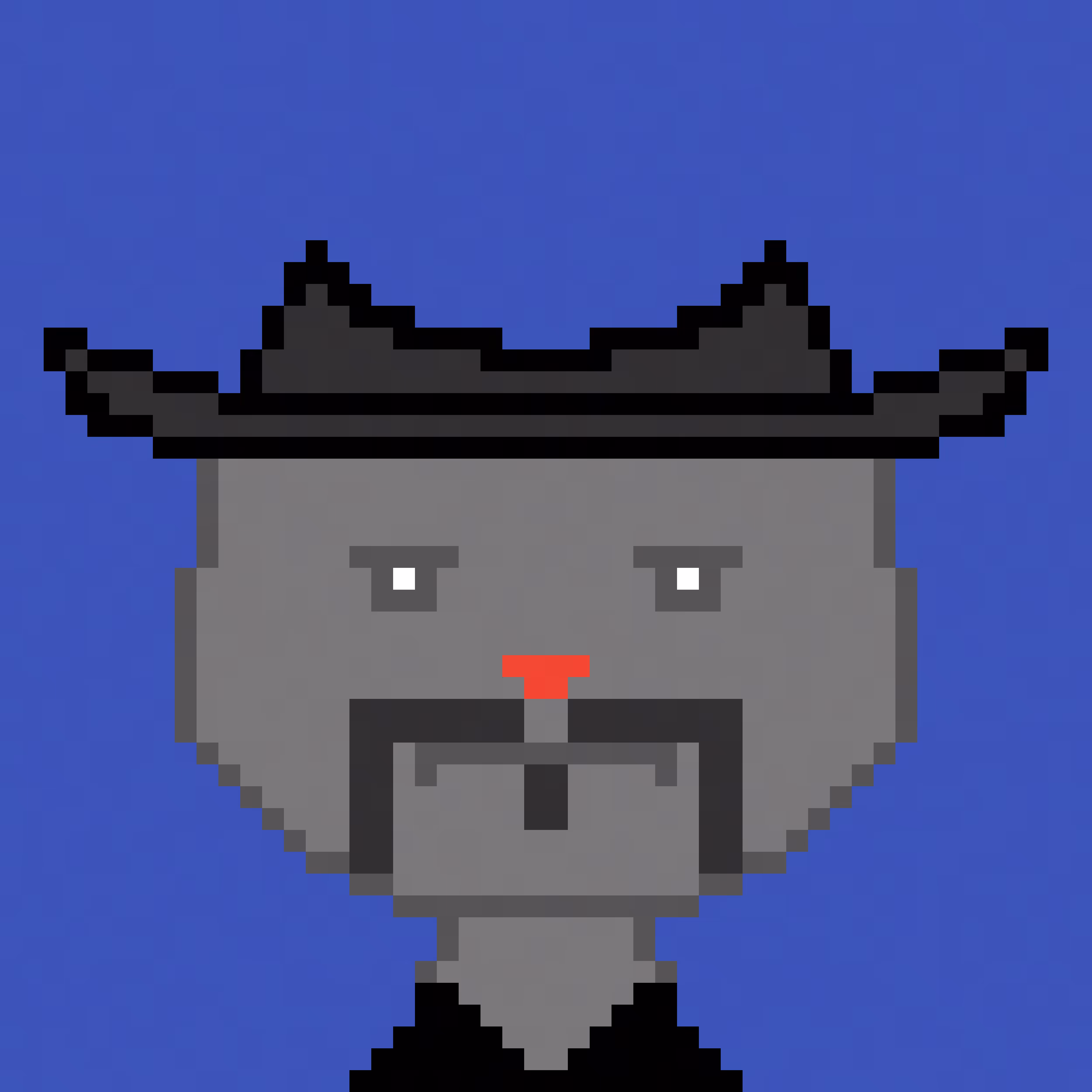 Cowboy Cat #2
