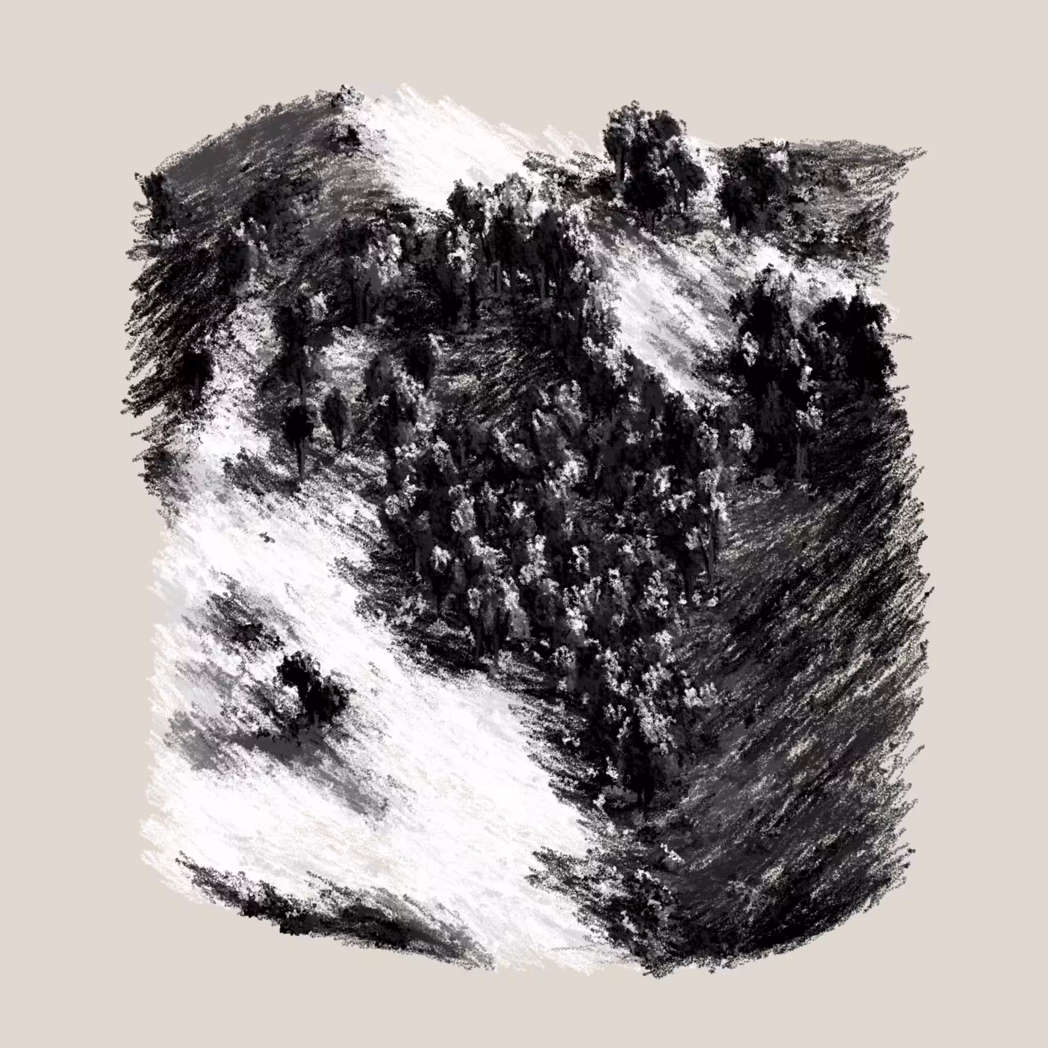 Eucalyptus and Sagebrush #43