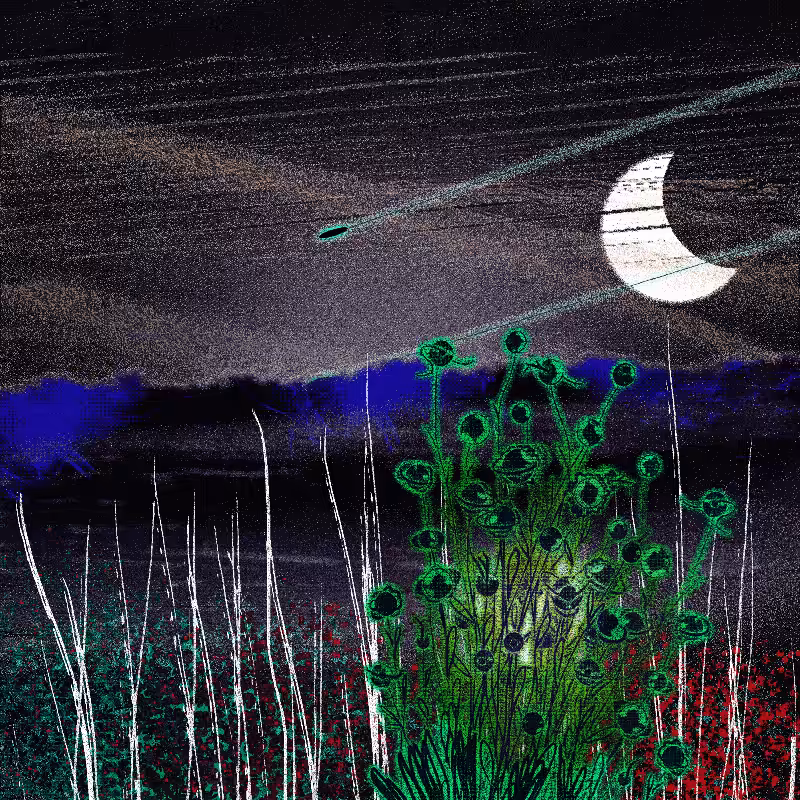 Ceshan's Psychedelics #346