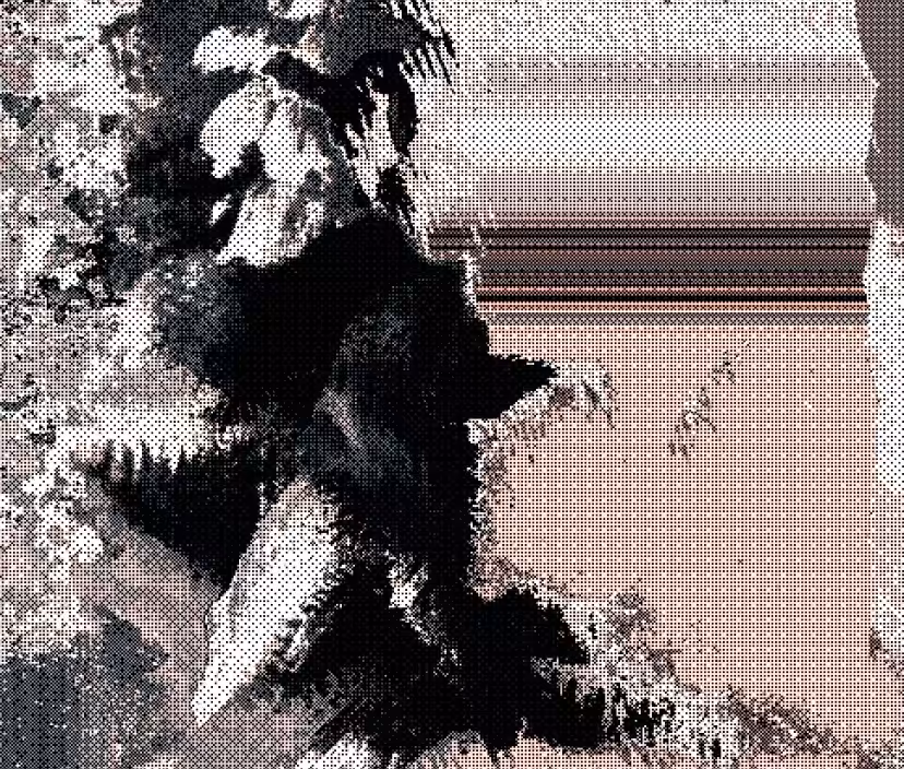 memories of a secrect hiding place…