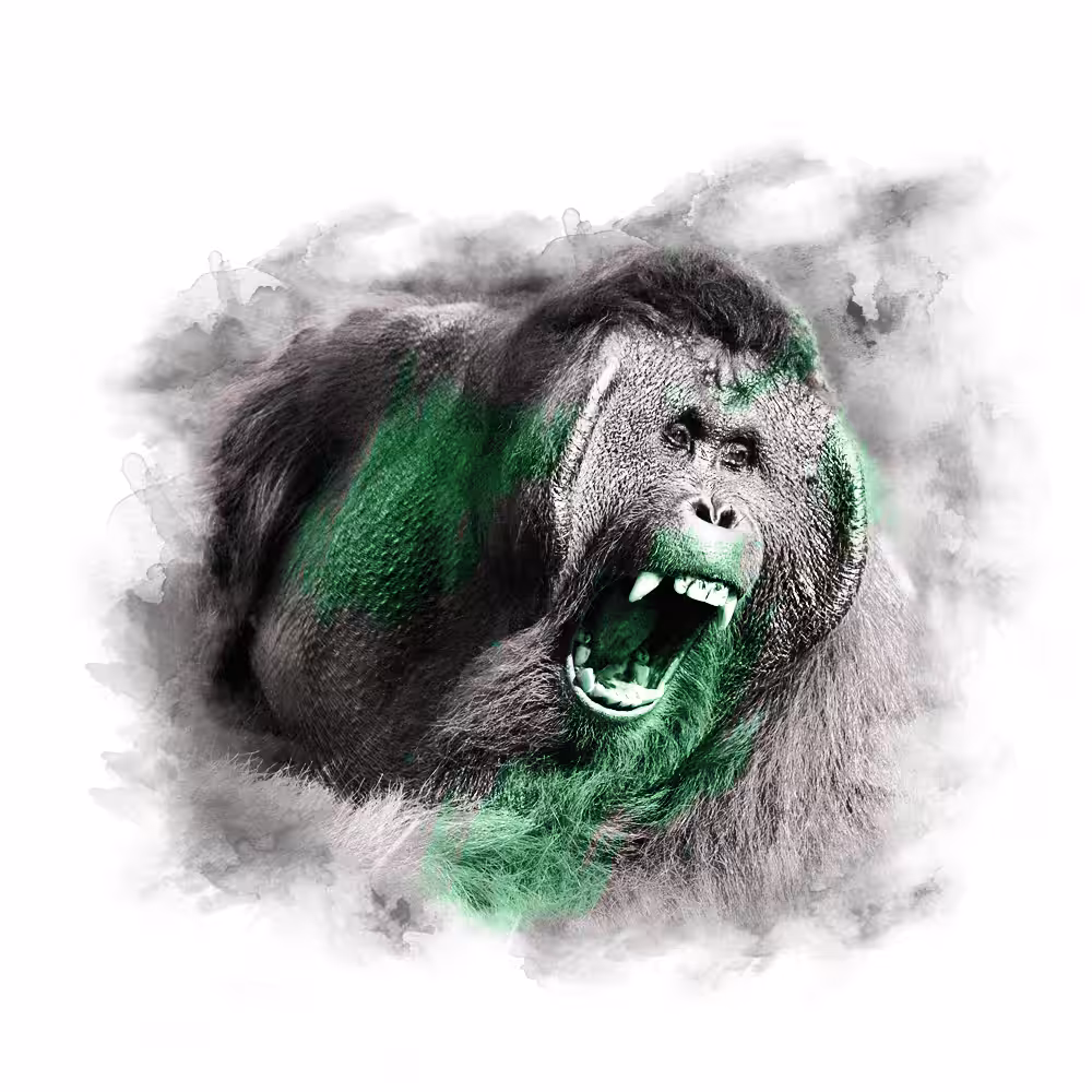 GREEN SERIES - ORANGOTANGO