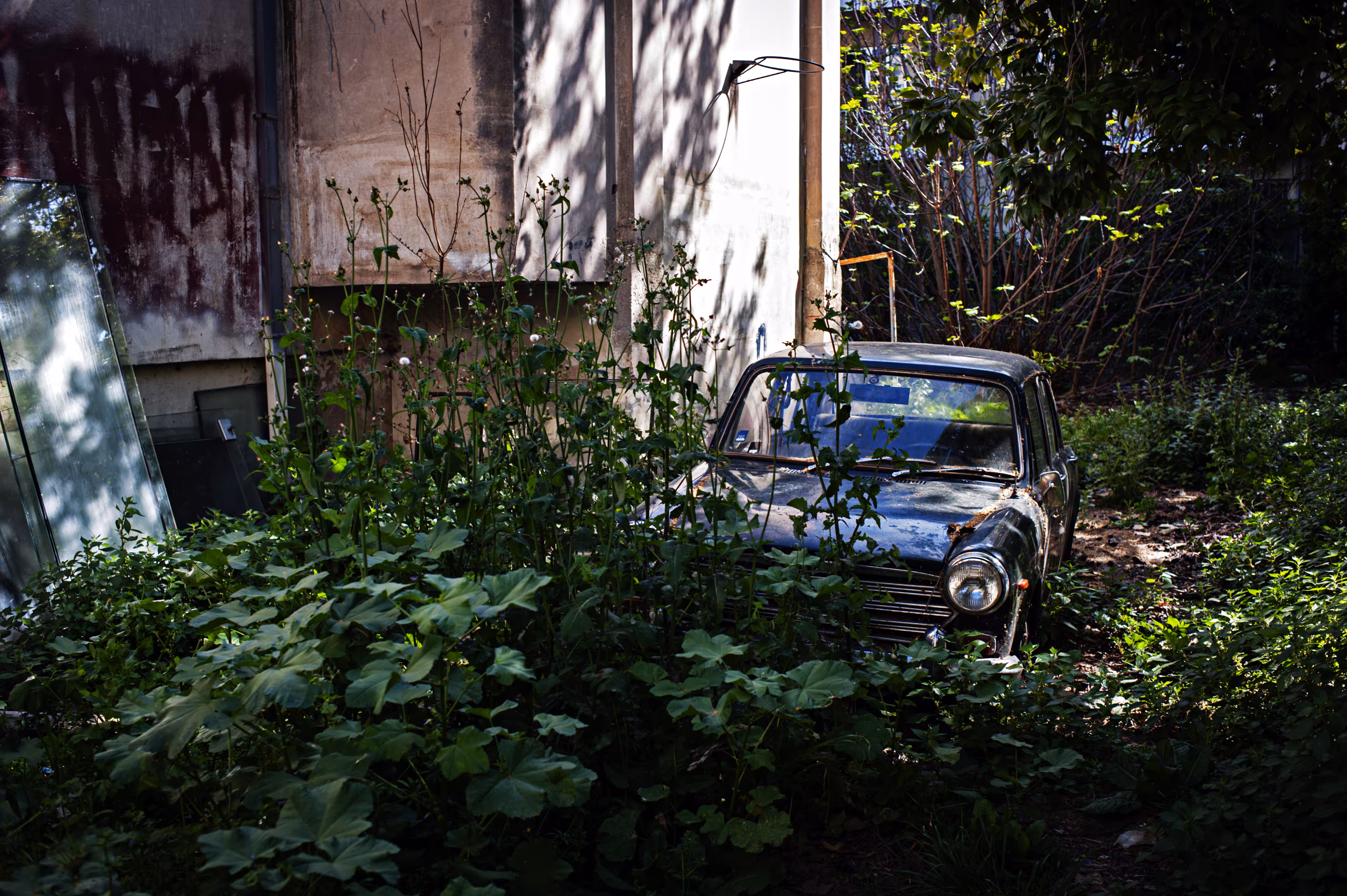 Abandoned Green Car