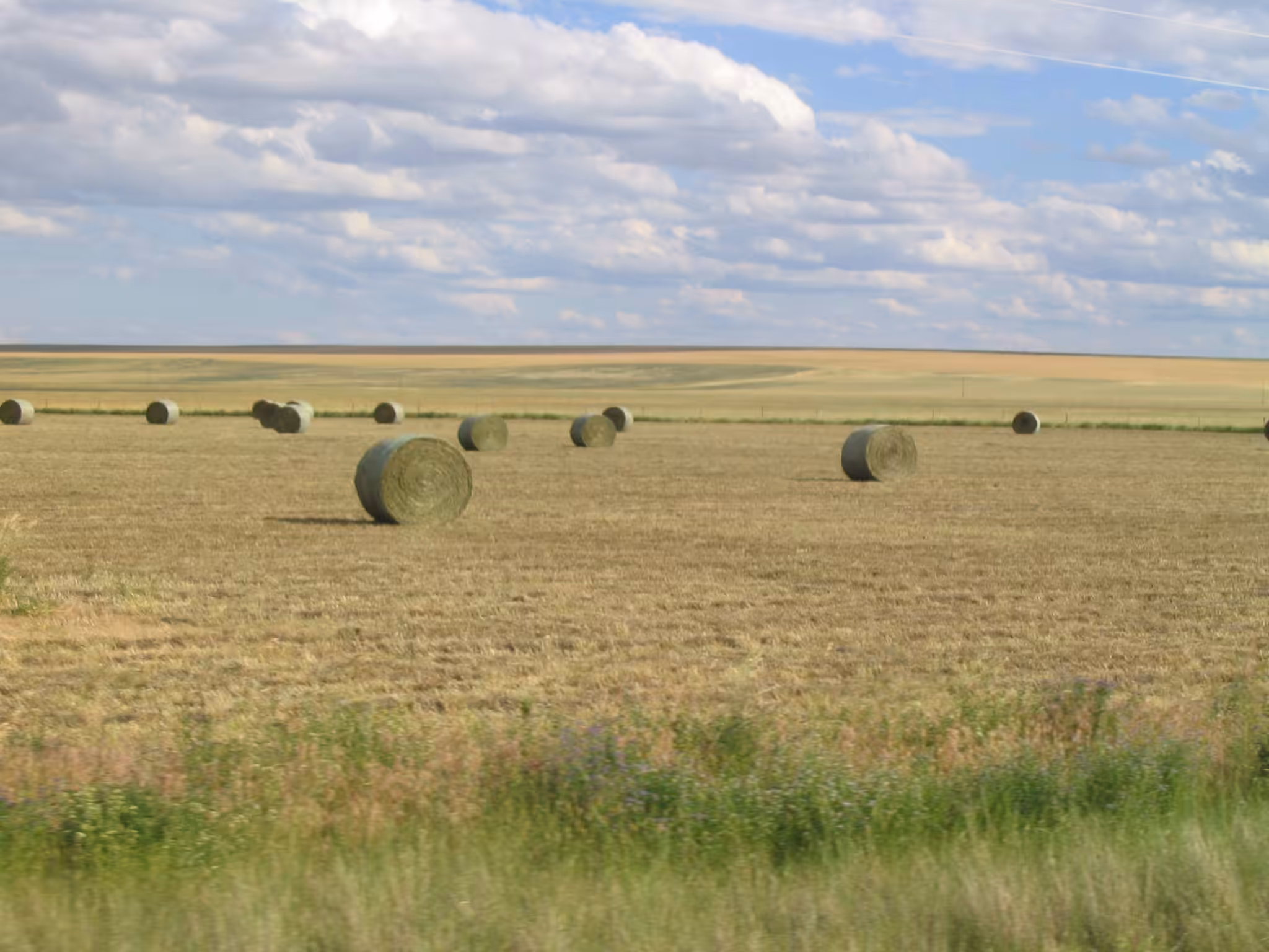 Harvested leaf matter spun into tight cylinder shaped forms