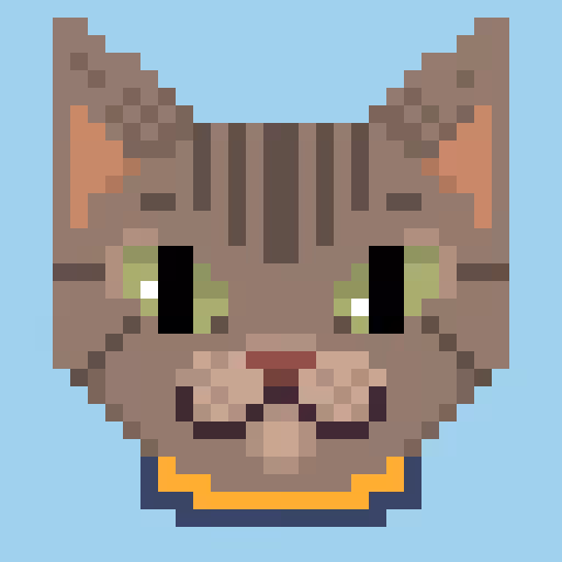 Miski Cat #1