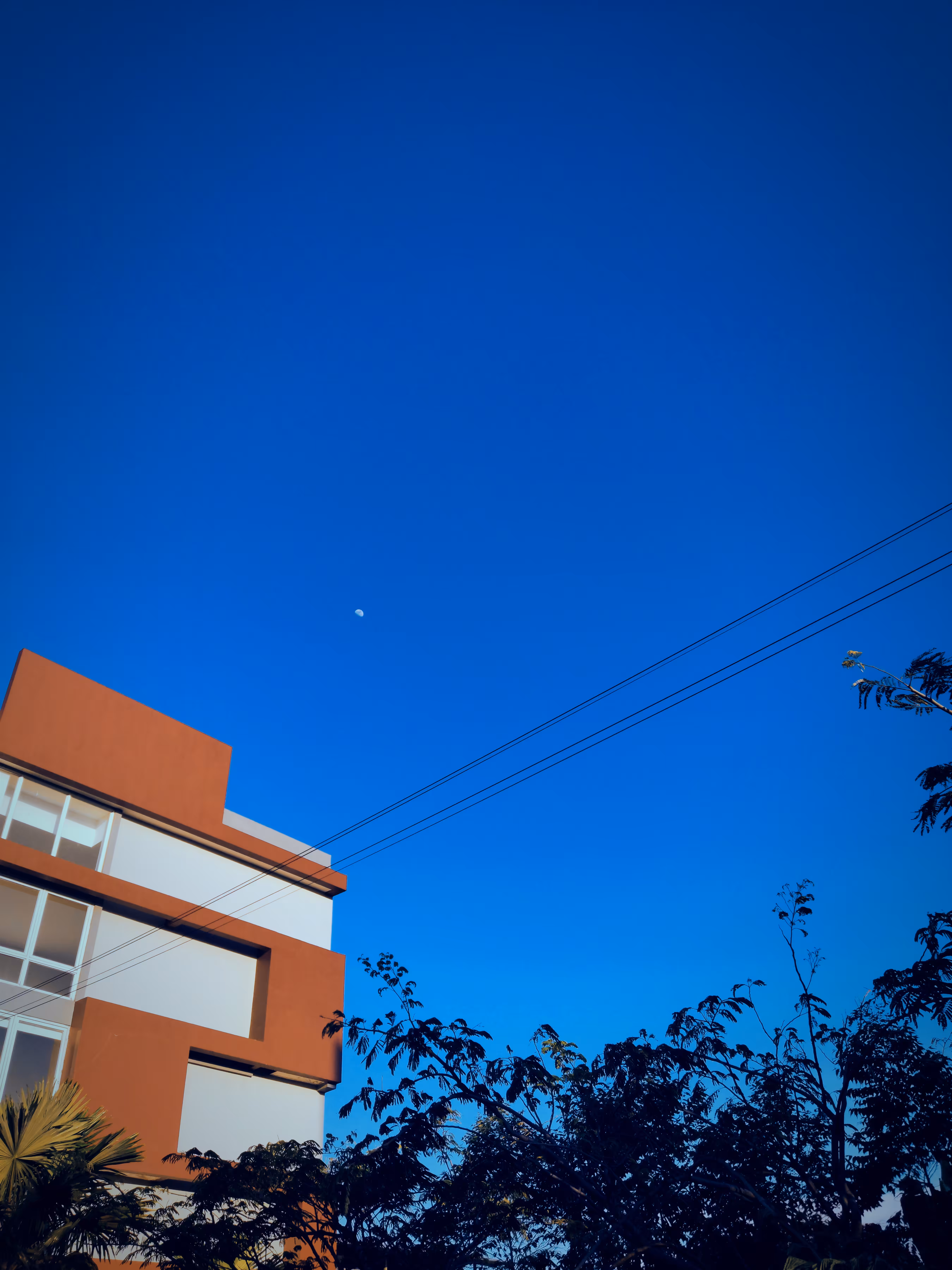 Aozora (青空)