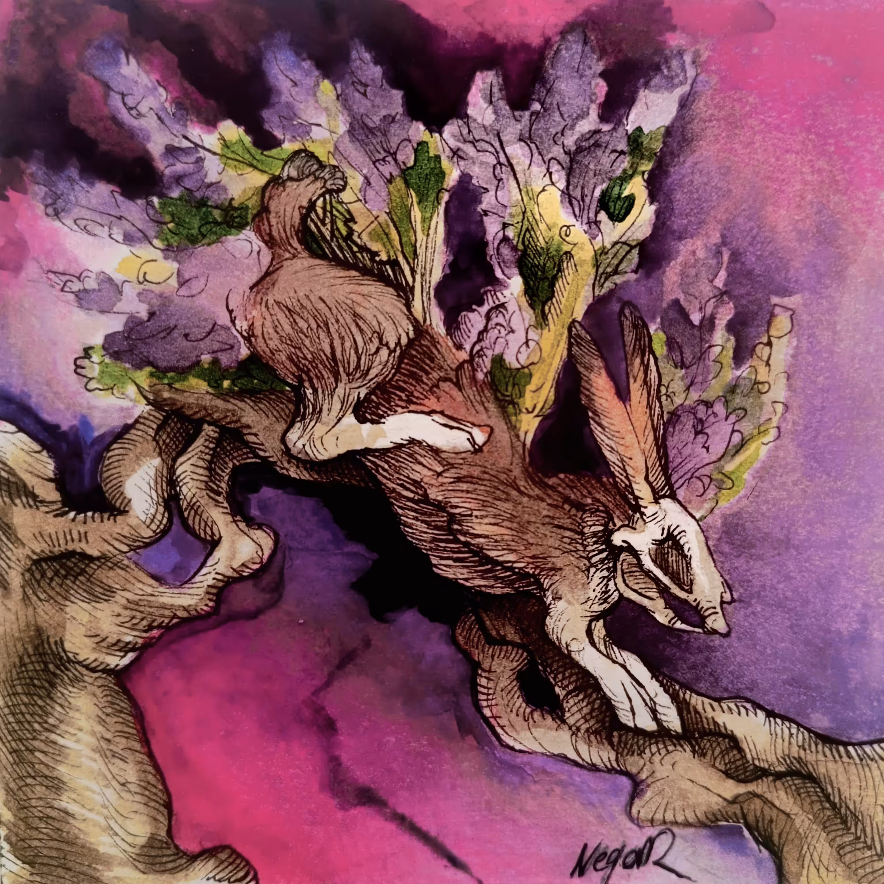 Hare and lavenders 🪻