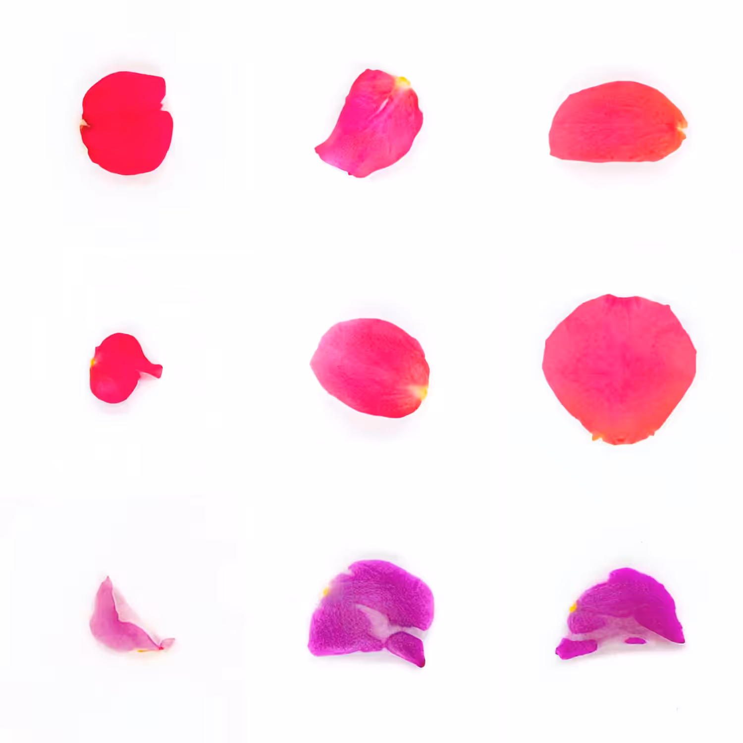Infinite Petals 3x3#2382