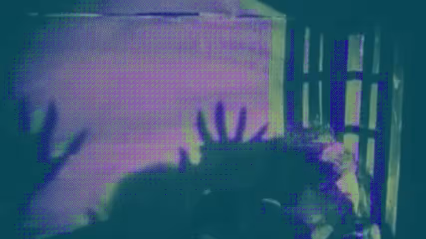 Shadow Fangs