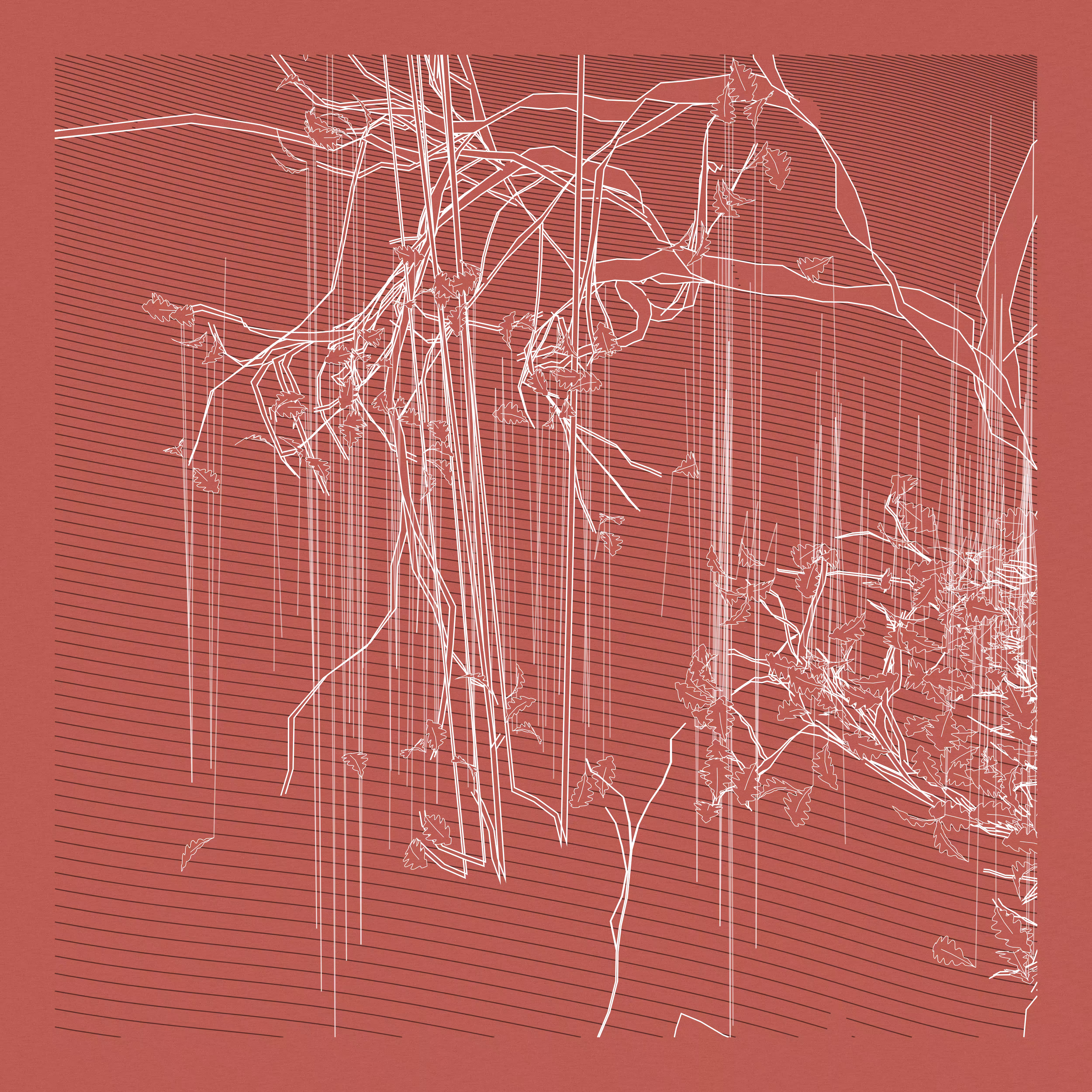 A Bugged Forest #47