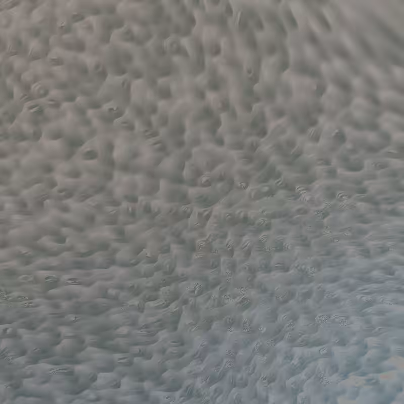 Noise Corals #44